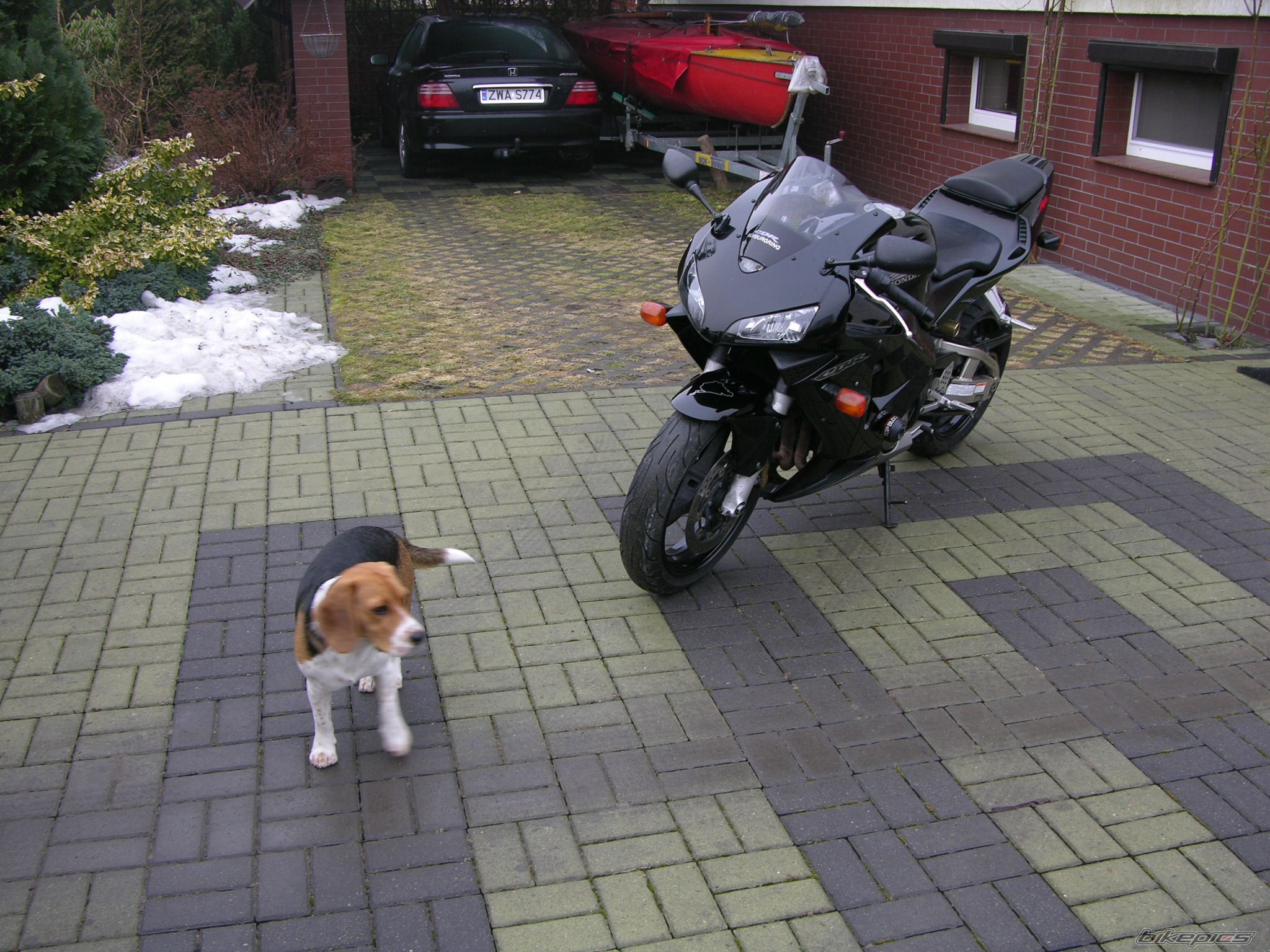 Photo 1566441