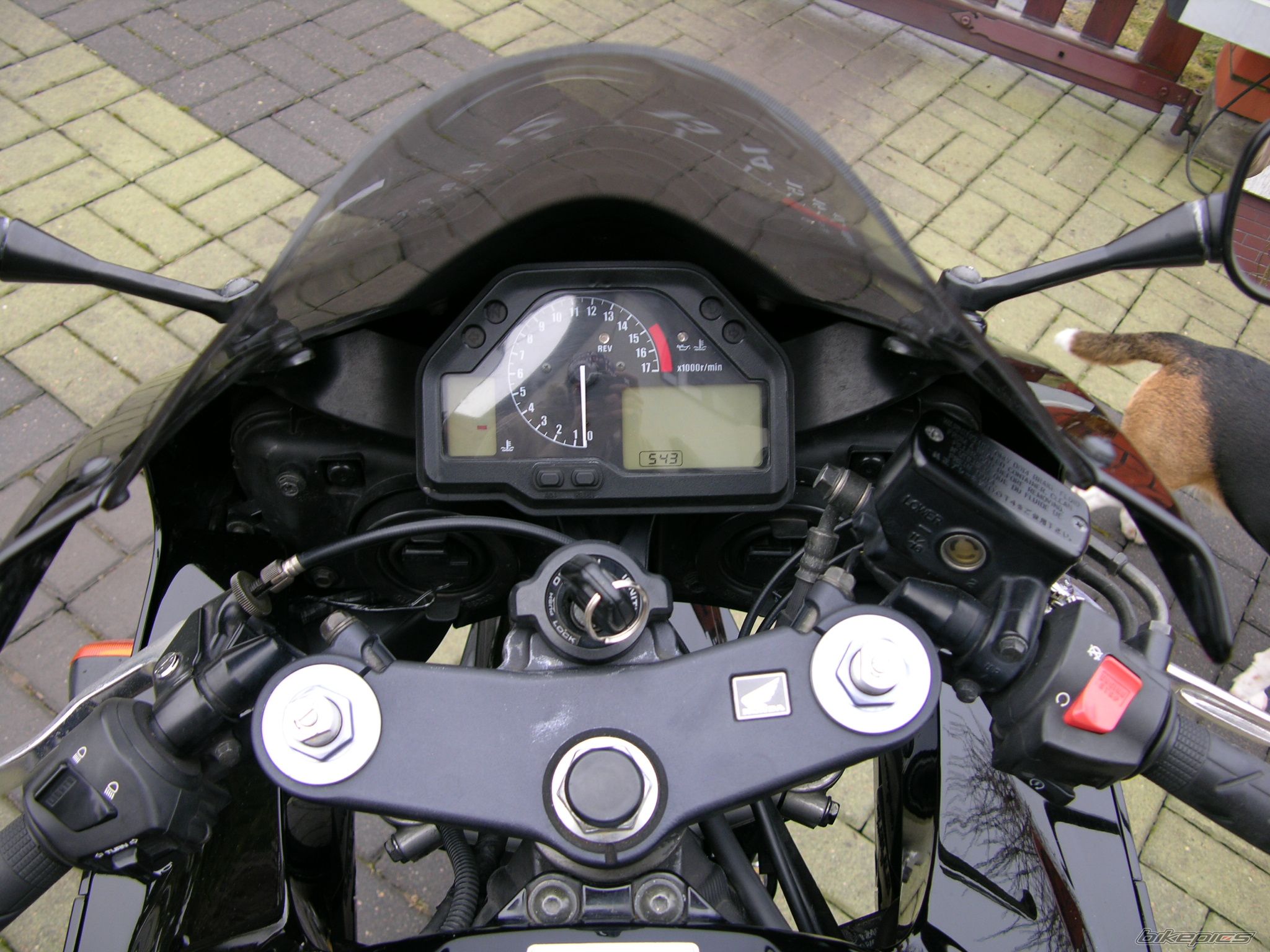 Photo 1566444