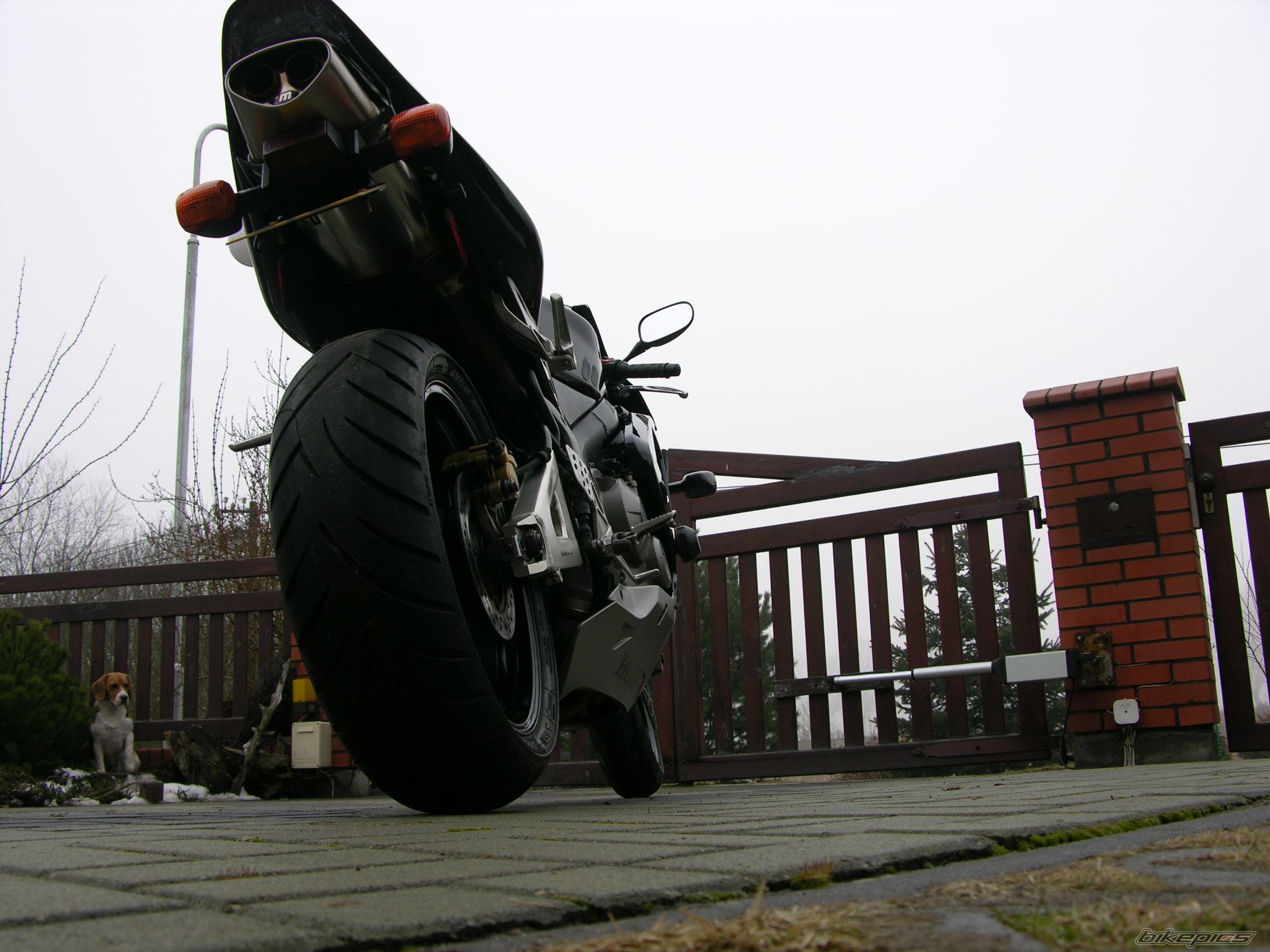 Bike Photo 1566450