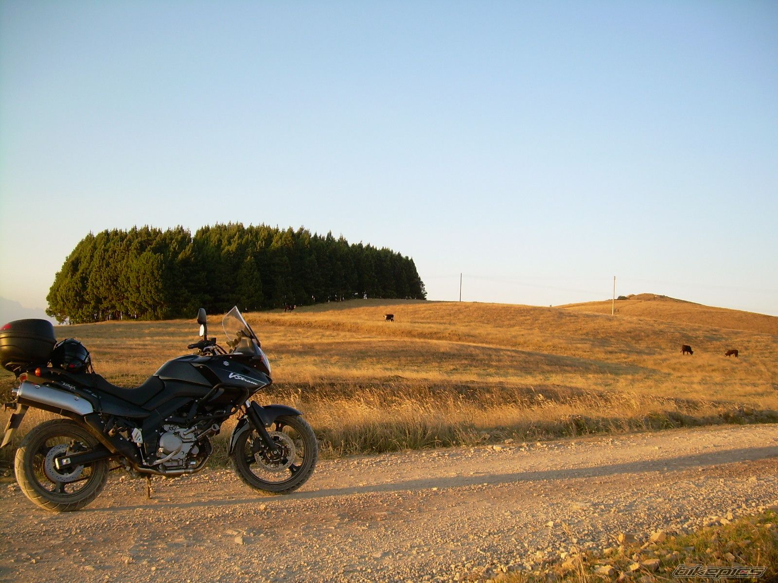 Bike Photo 1566491