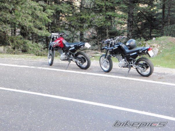 Photo 1566517