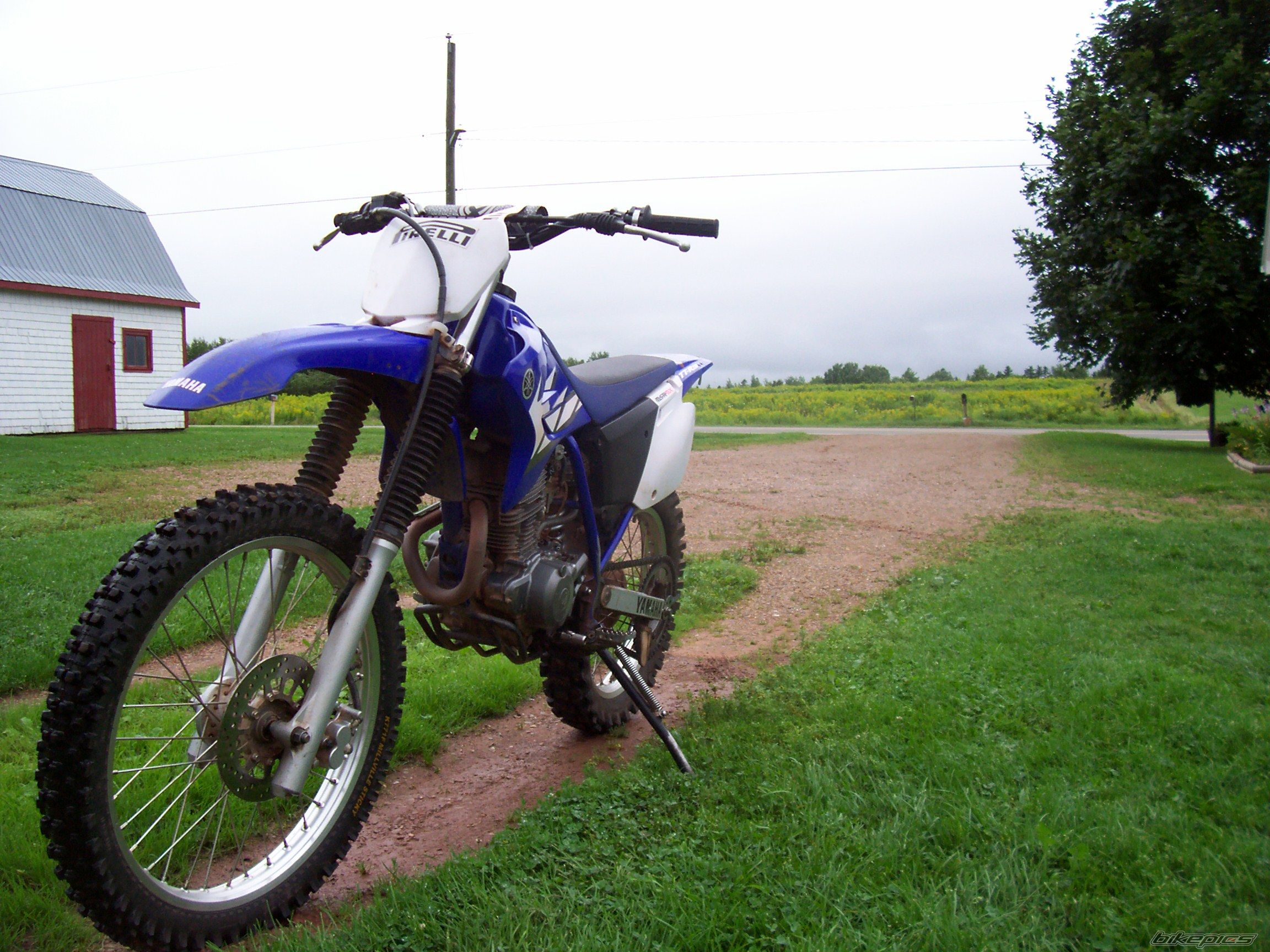 Photo 1566591