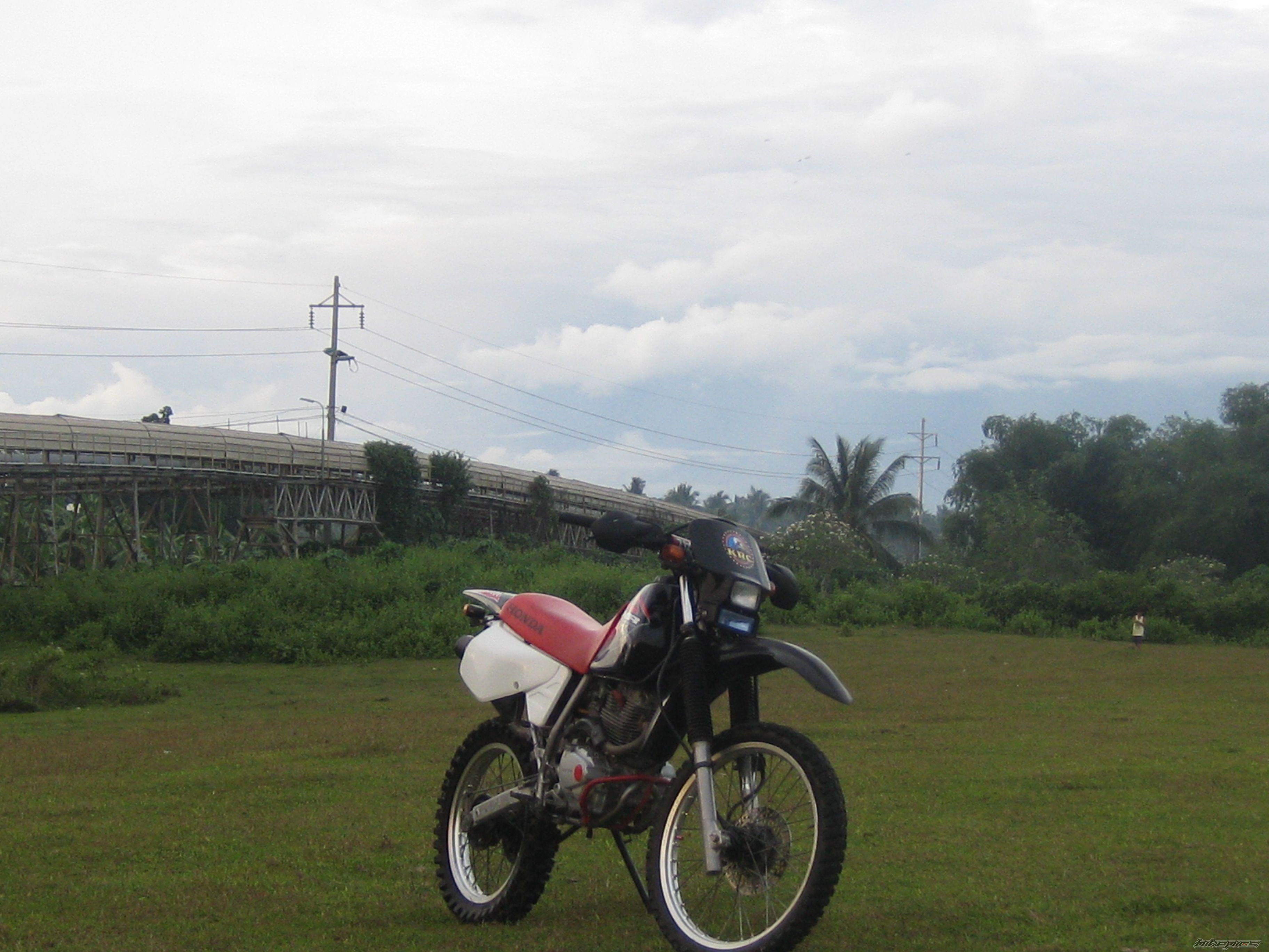 Photo 1566689