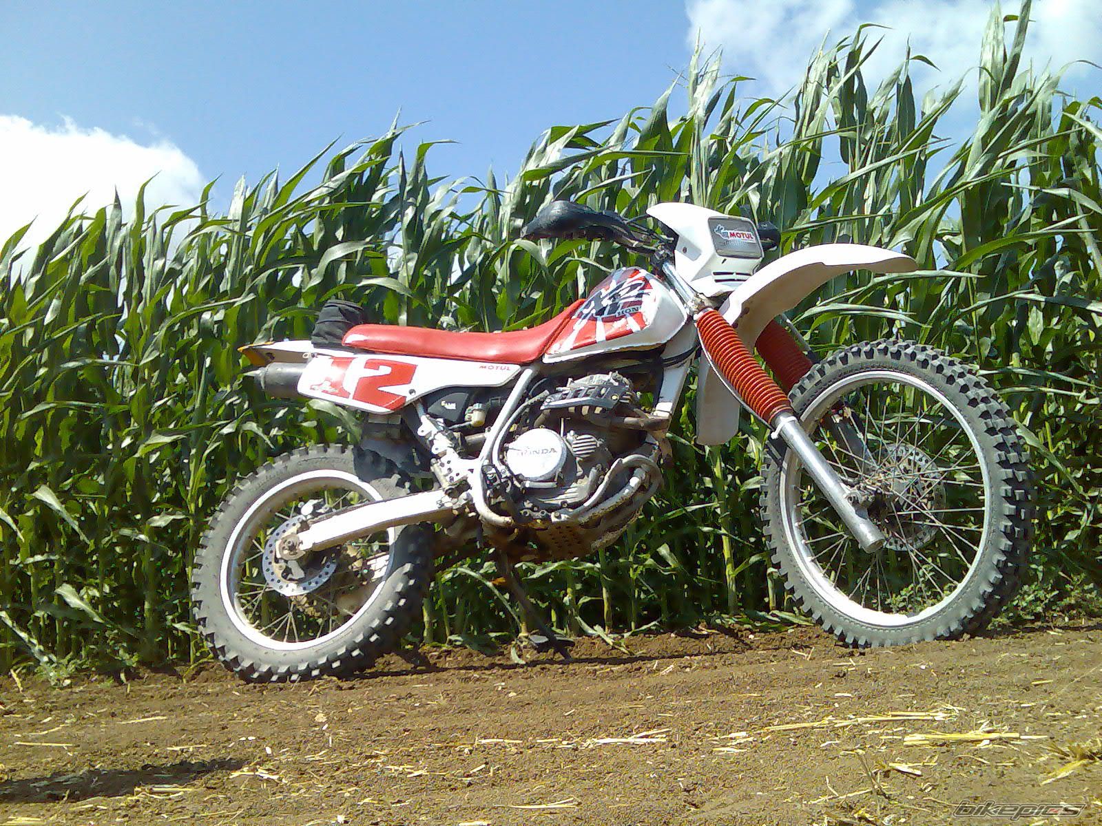 Photo 1566705