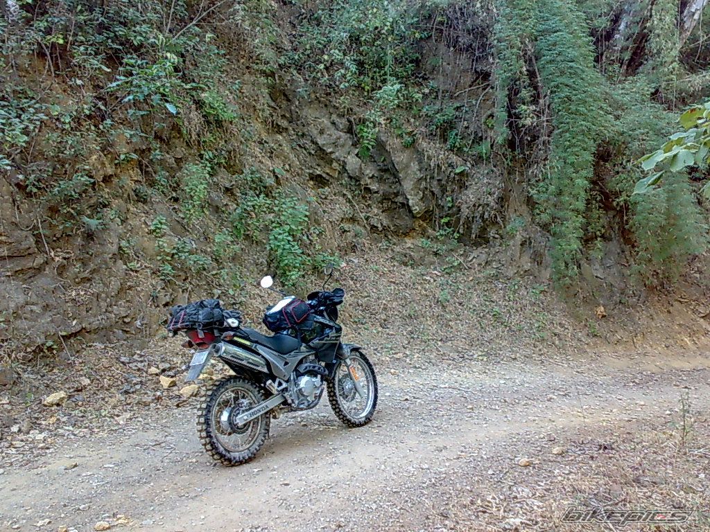 Photo 1566714