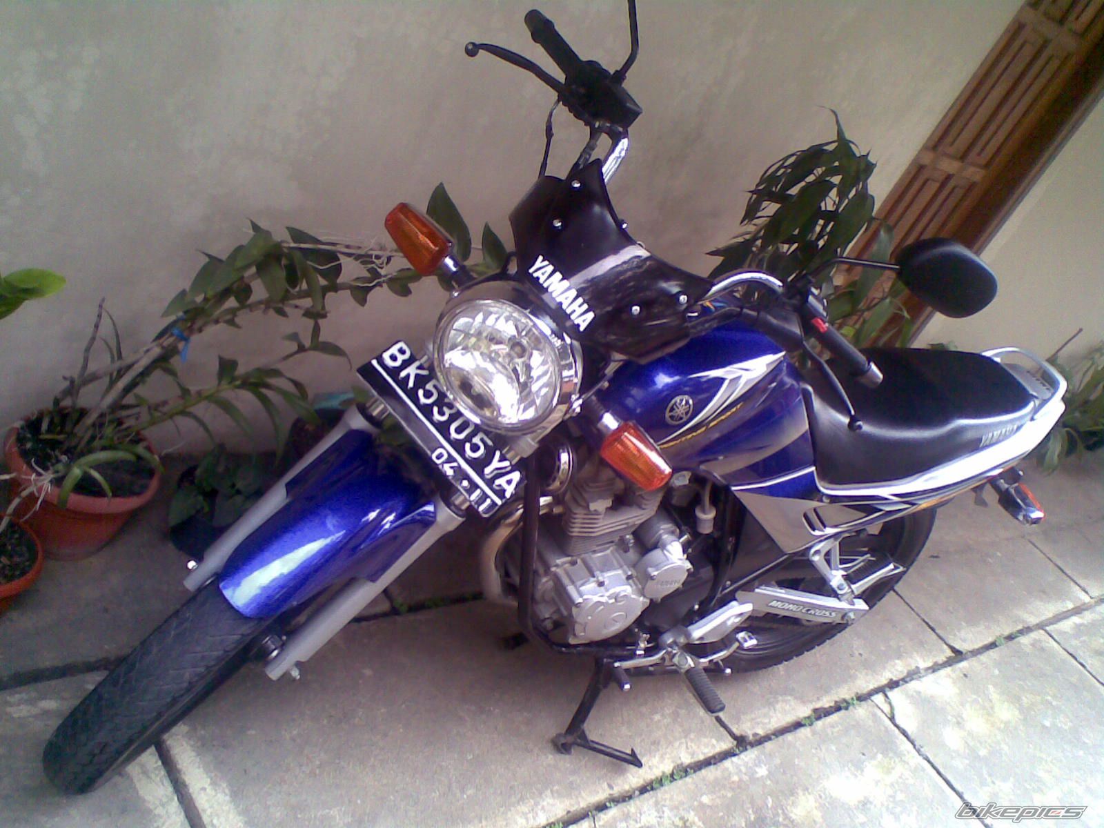 Photo 1566804