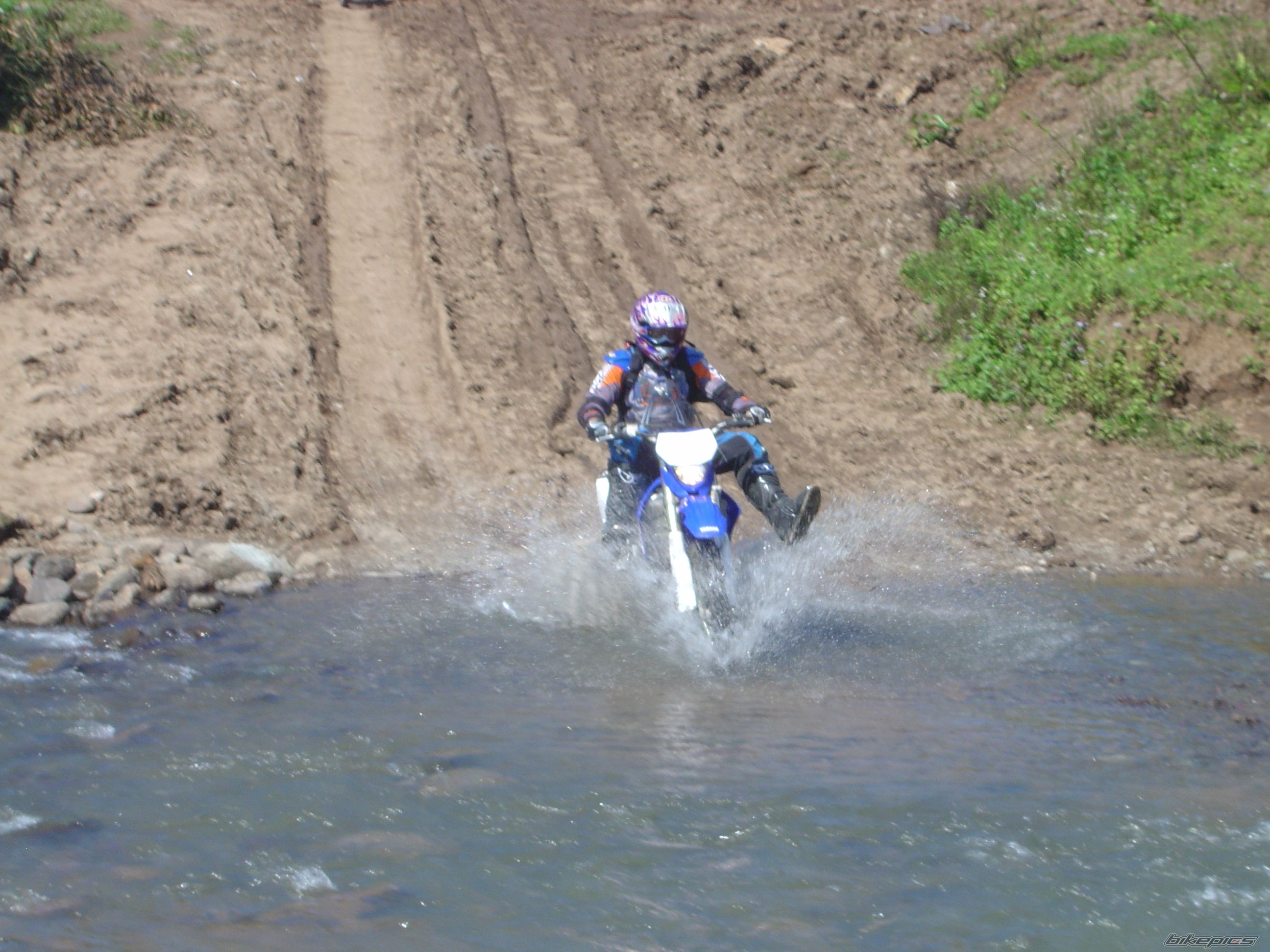 Photo 1566842