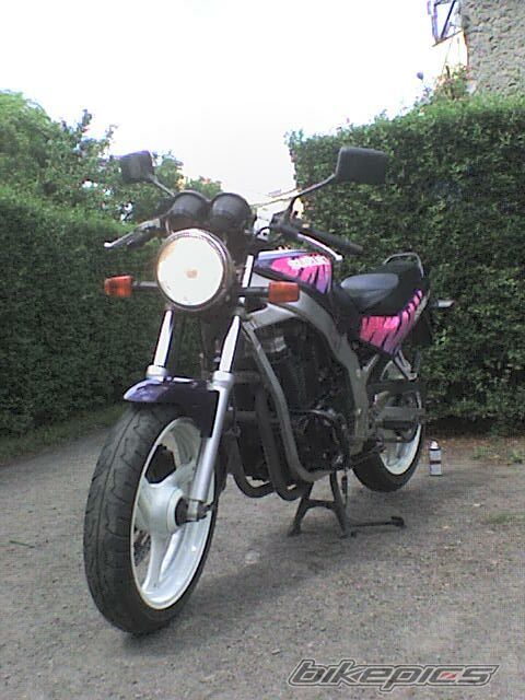 Photo 1566996