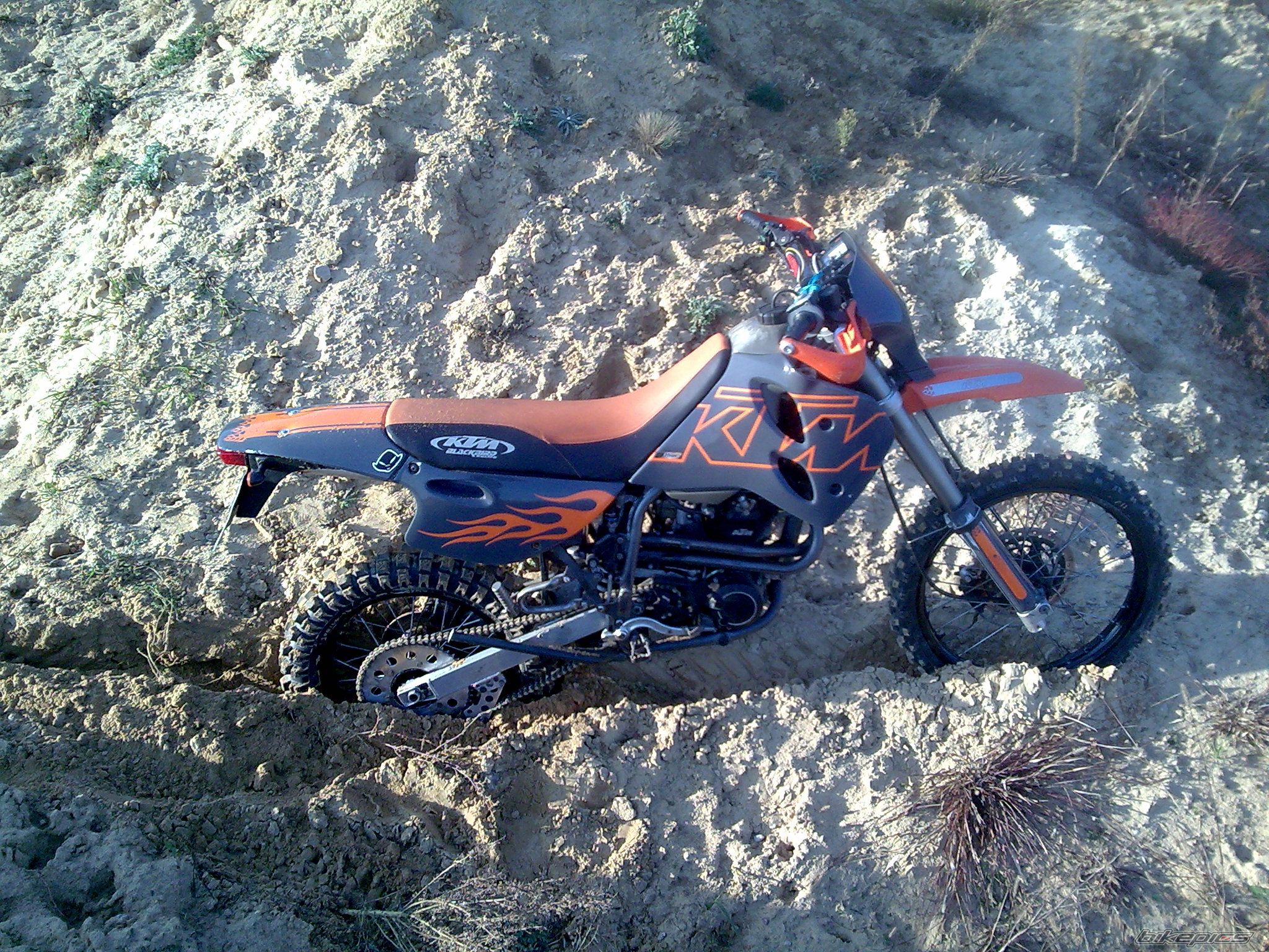 Photo 1567032