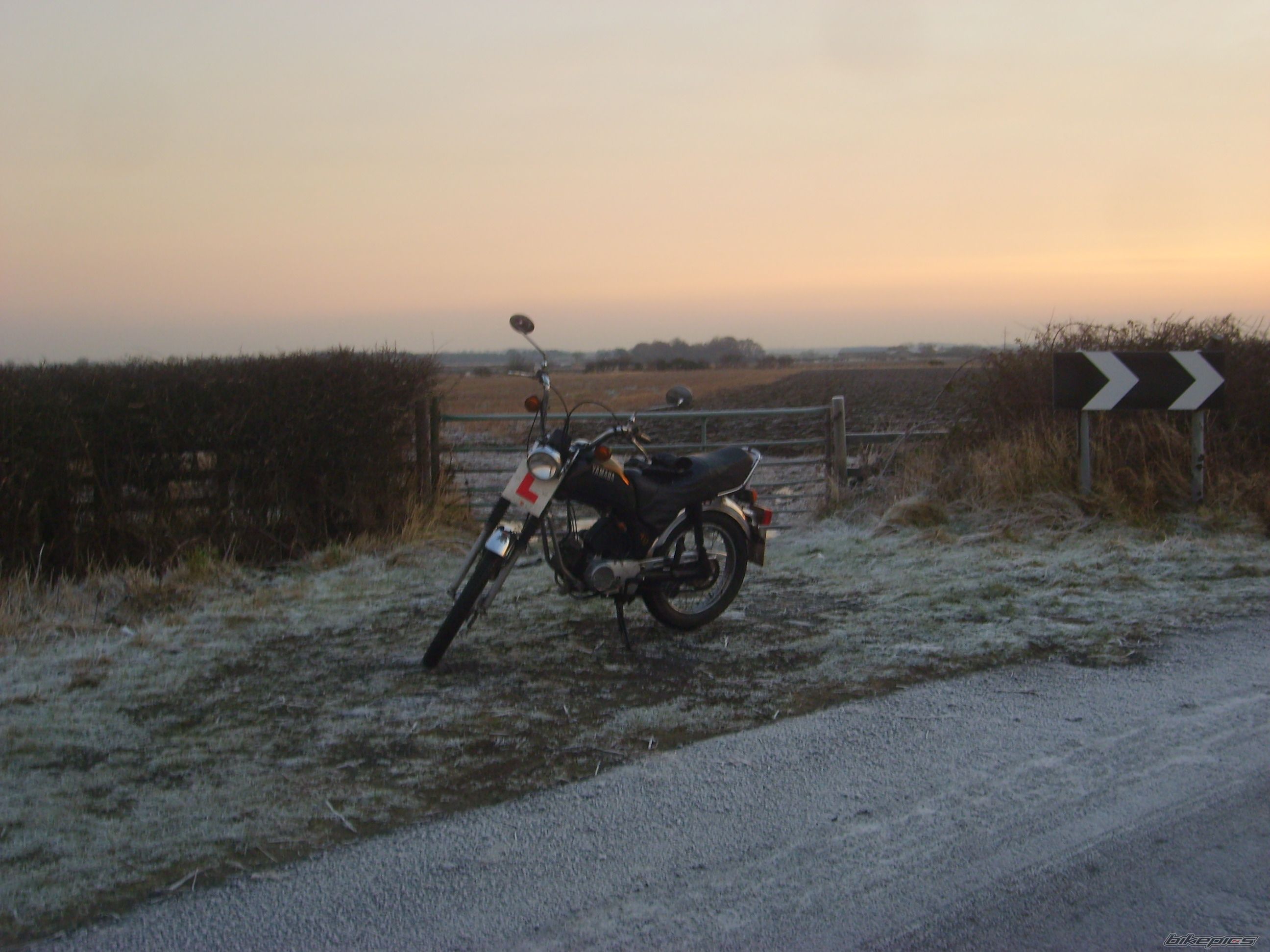 Photo 1567038