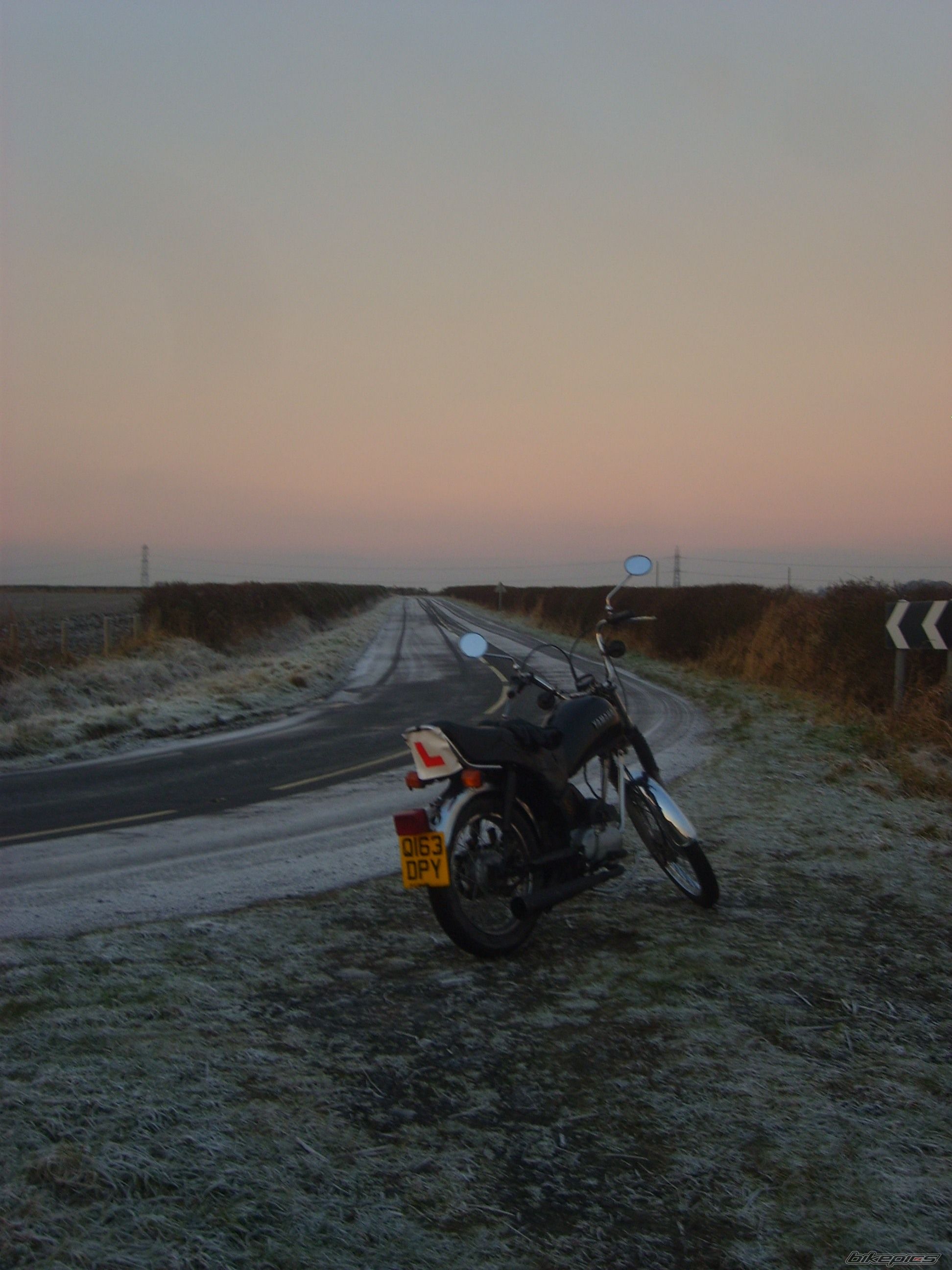 Photo 1567039