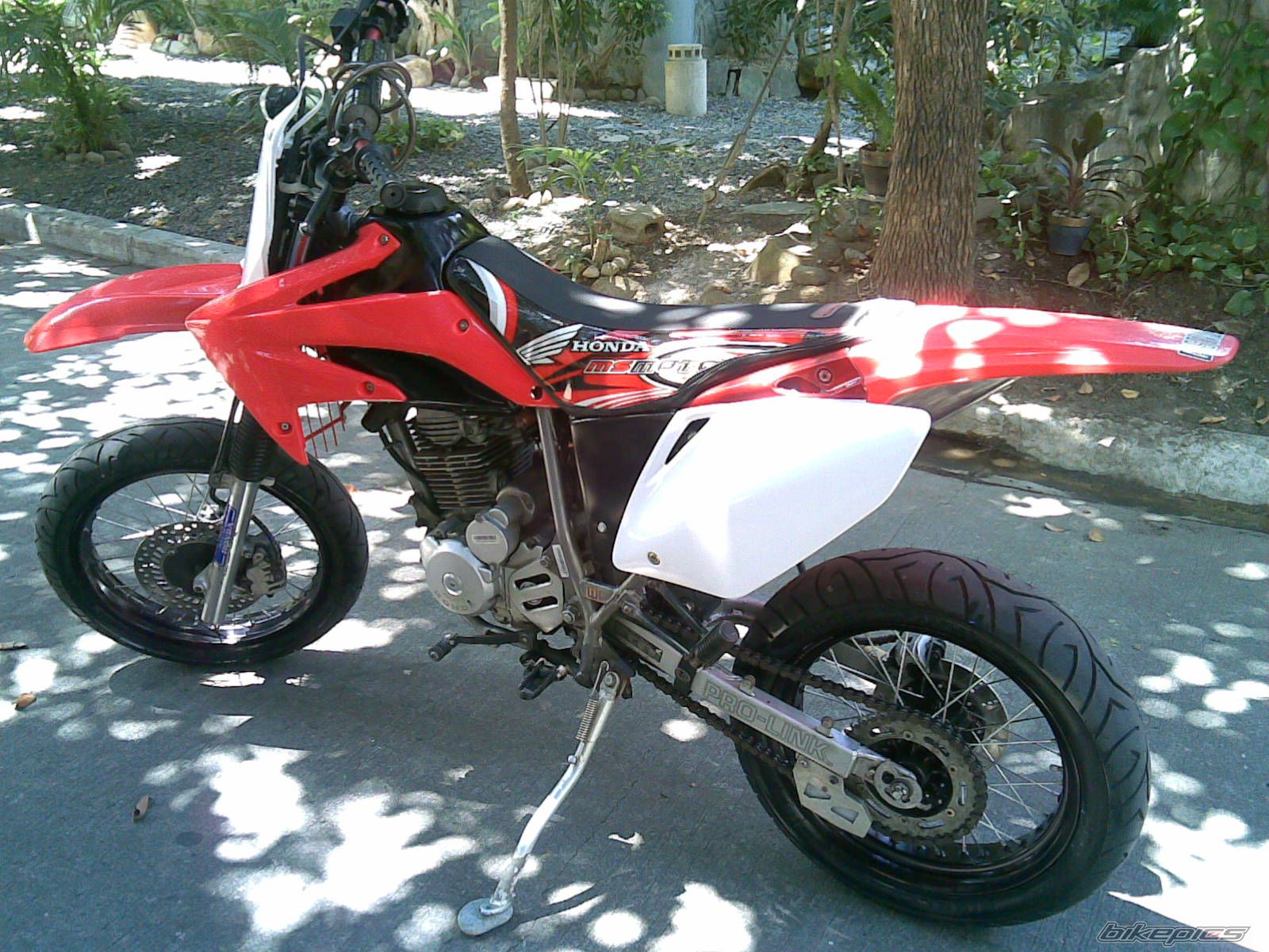 Photo 1567041