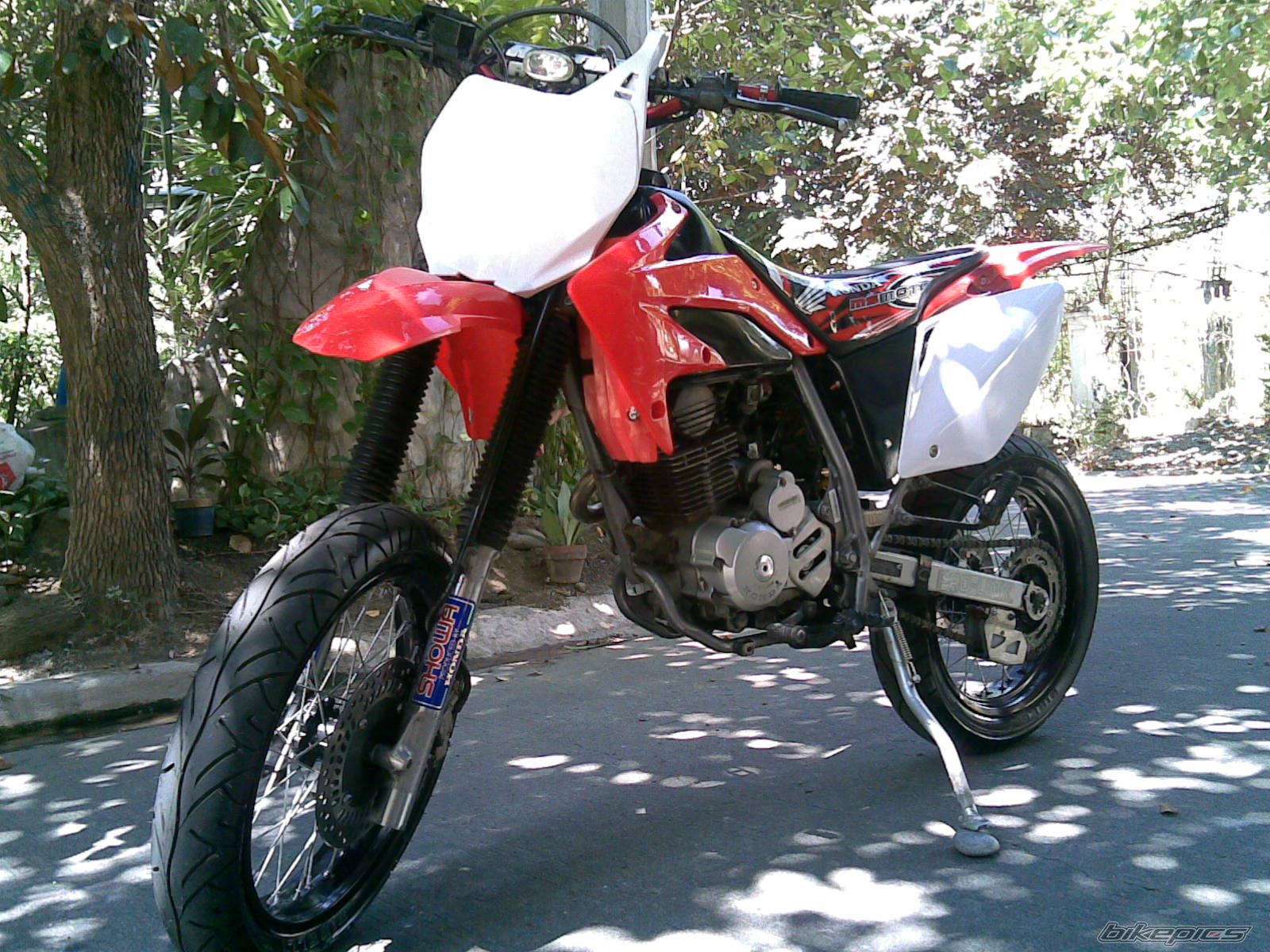 Photo 1567042
