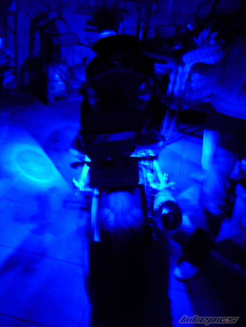 Photo 156723