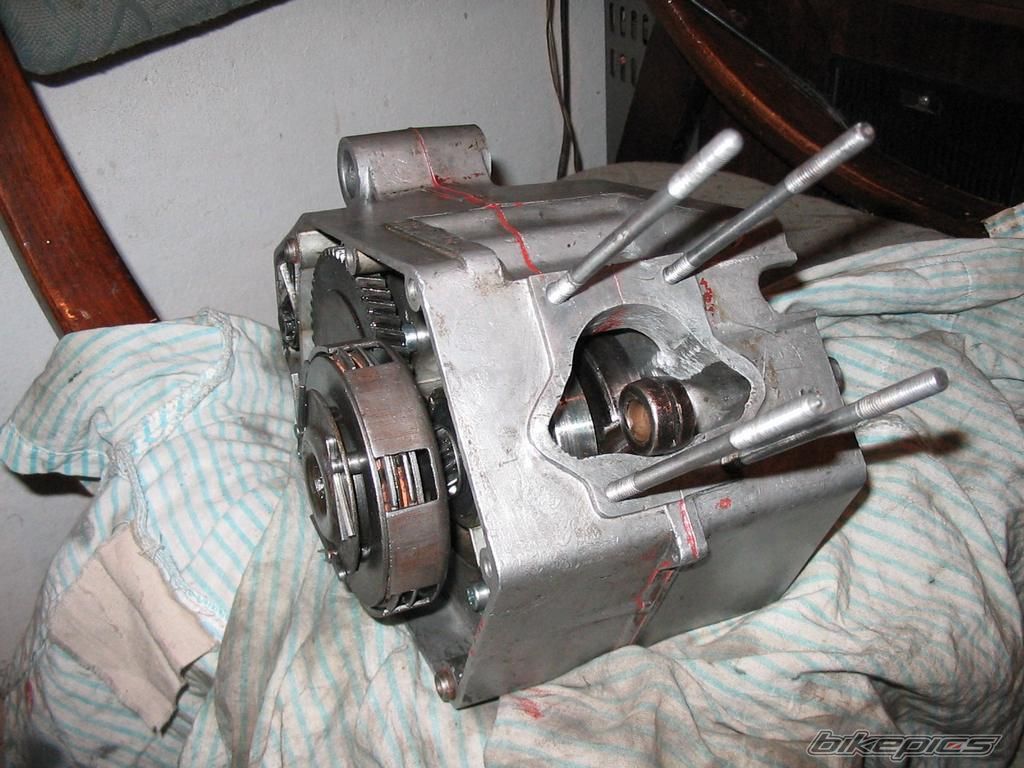 Photo 1567304