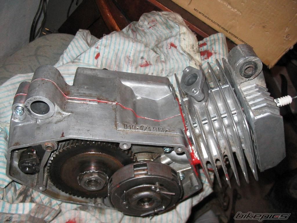 Photo 1567309