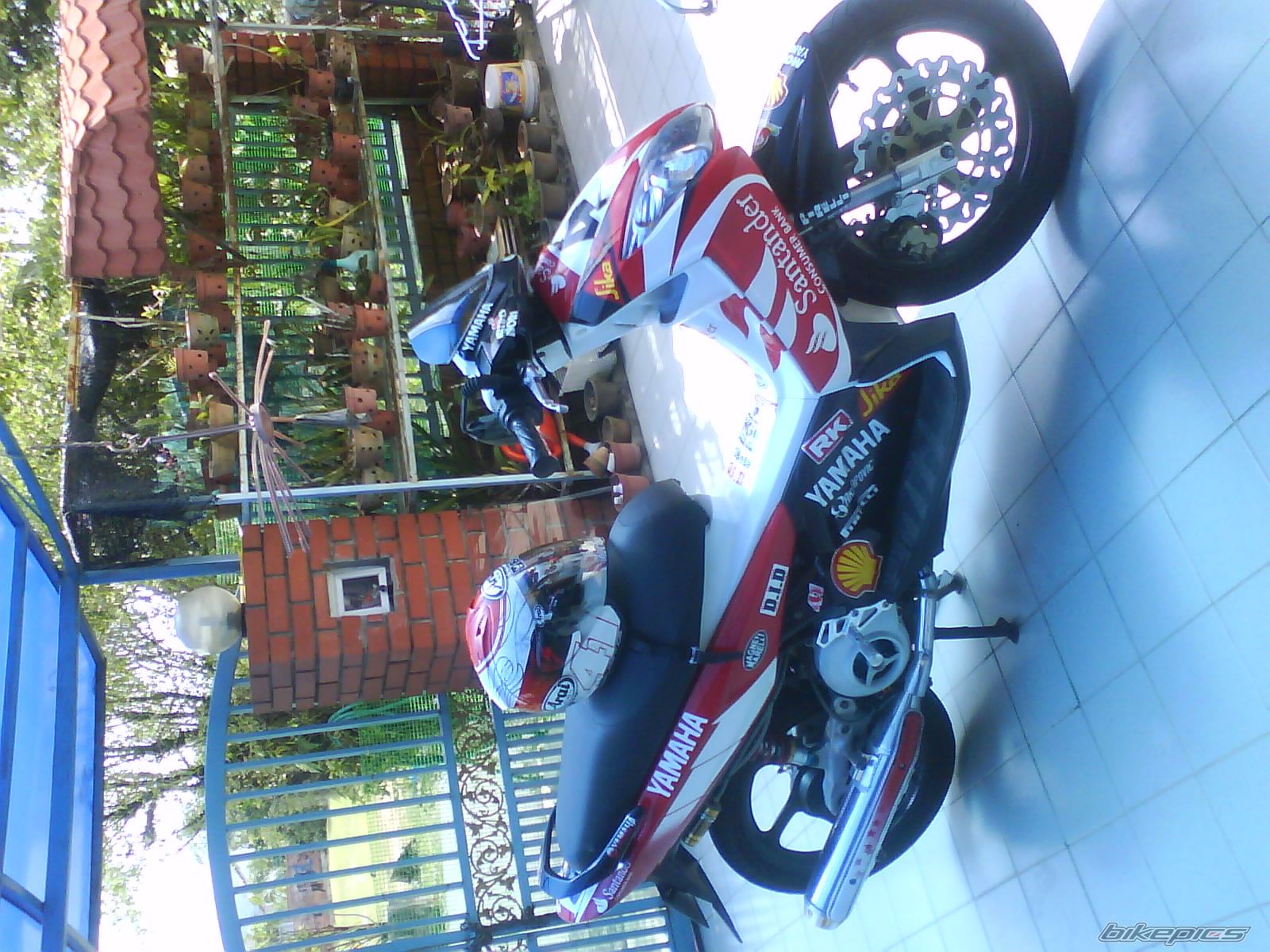 Photo 1567319
