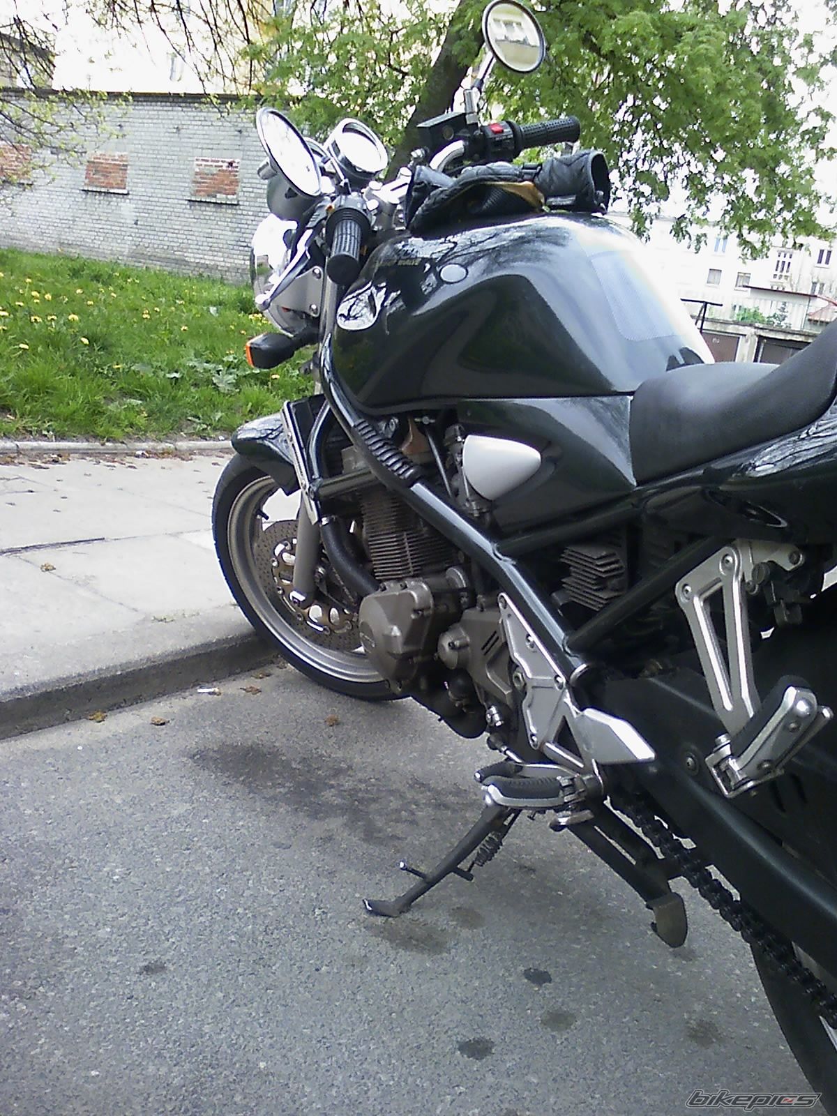 Photo 1567377