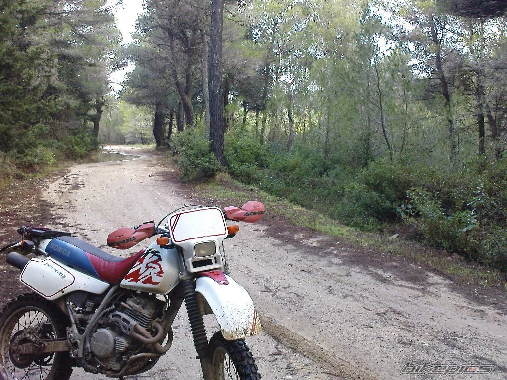 Bike Photo 1567462