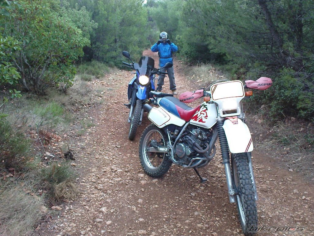 Bike Photo 1567493