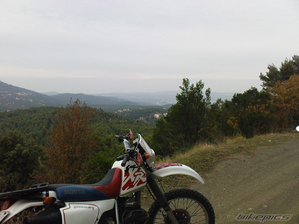 Photo 1567496