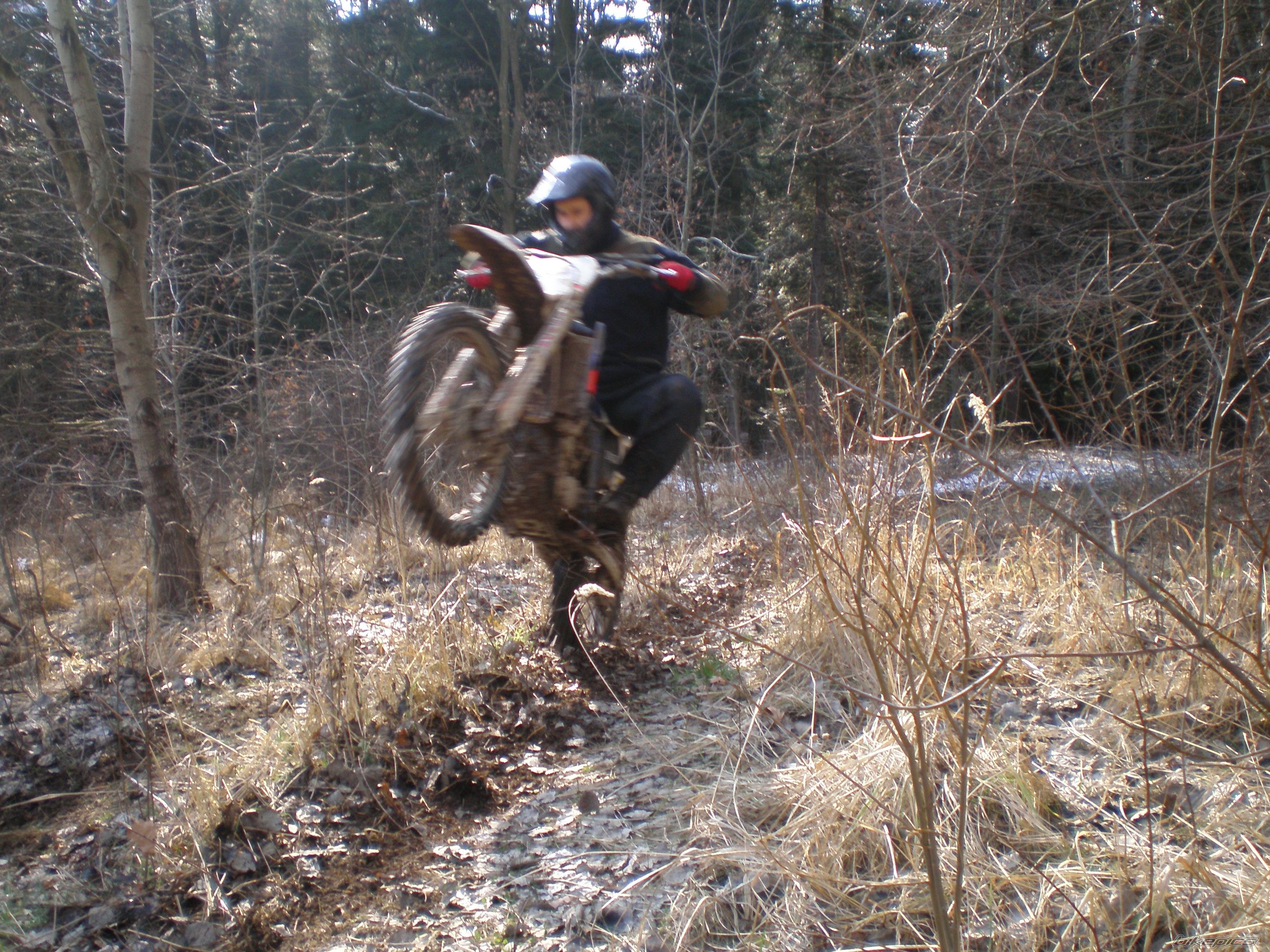 Bike Photo 1567564