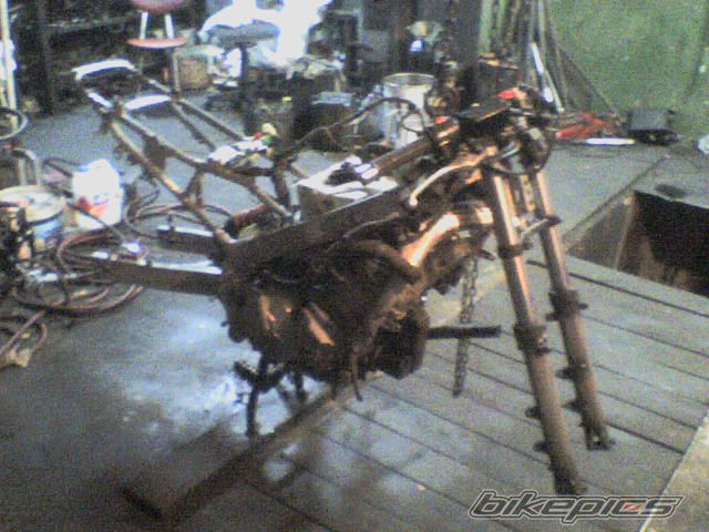 Photo 1567717