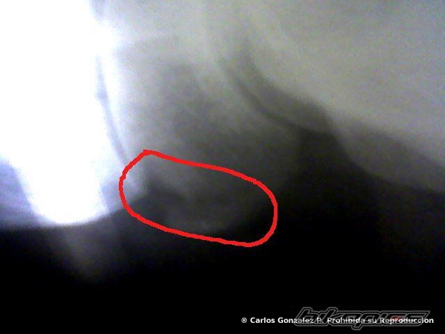 Photo 1567800