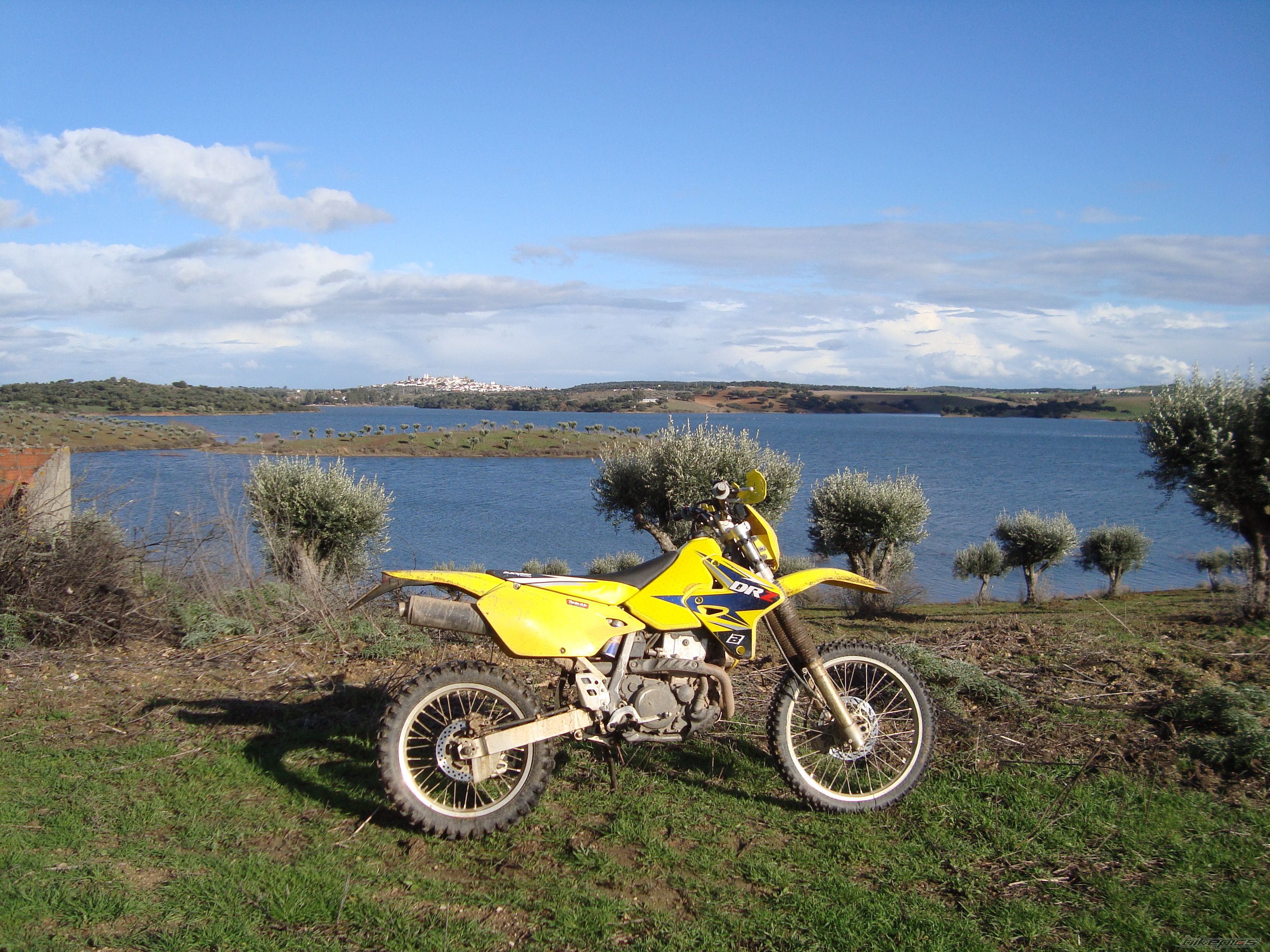 Photo 1567846