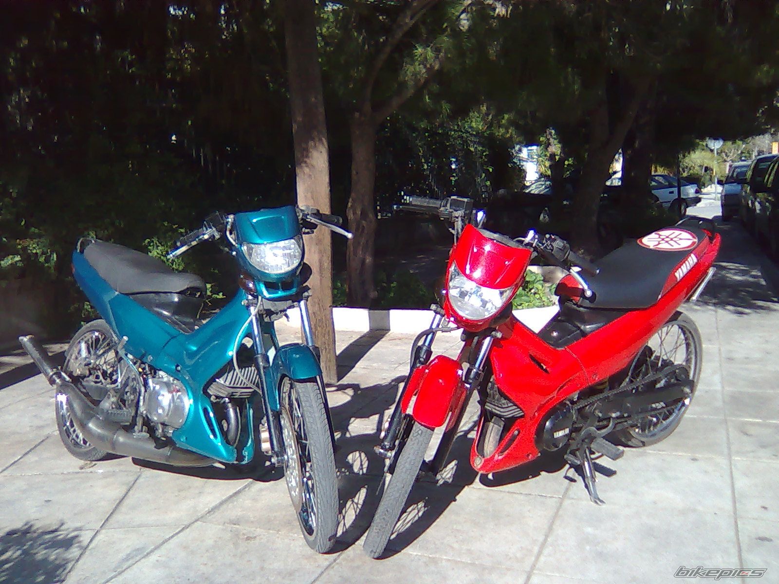 Bike Photo 1567892