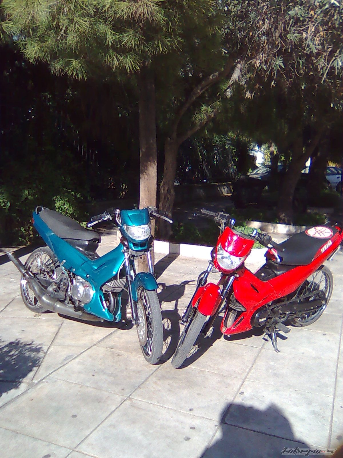 Photo 1567893