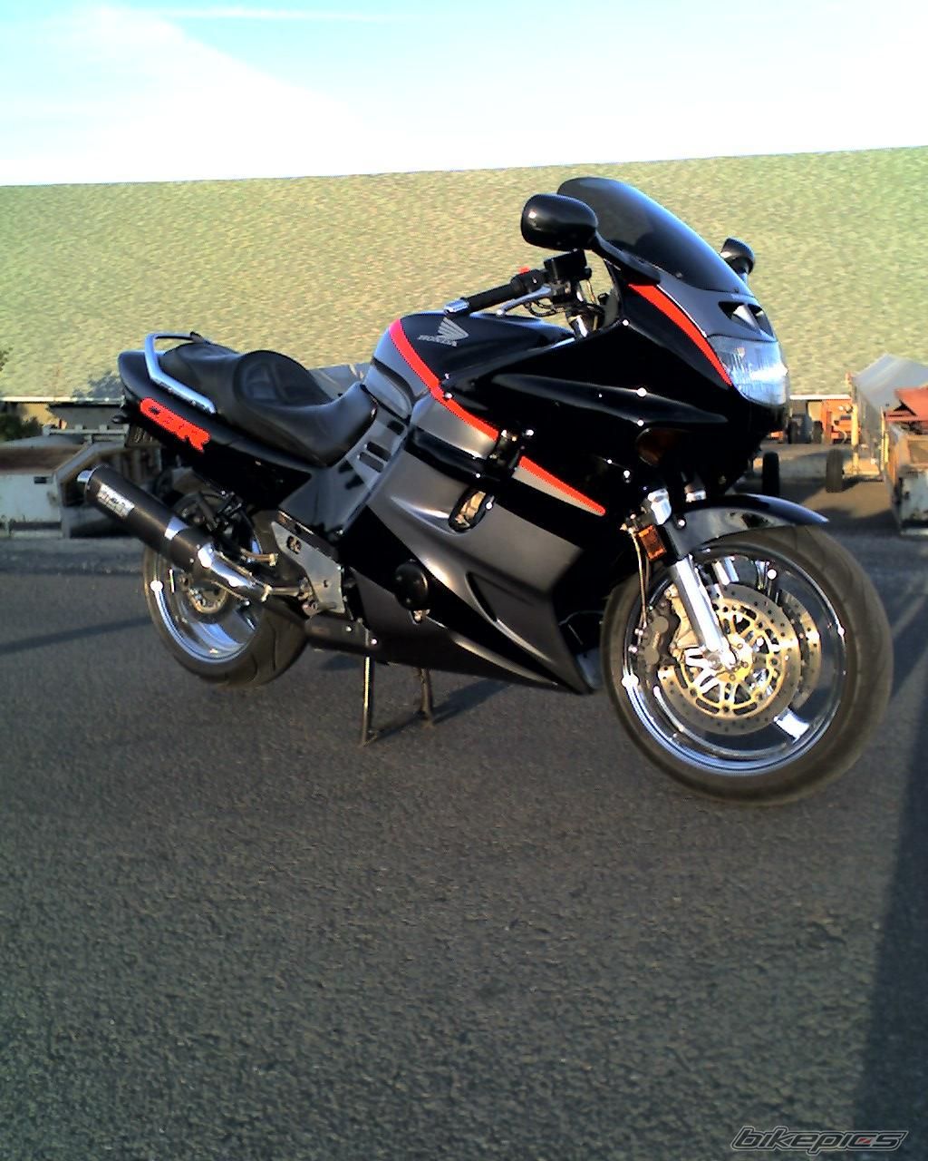 Photo 1567917