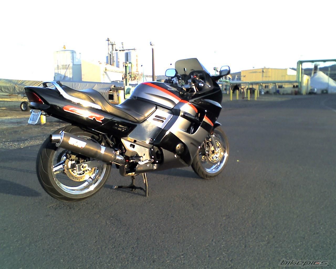 Photo 1567919