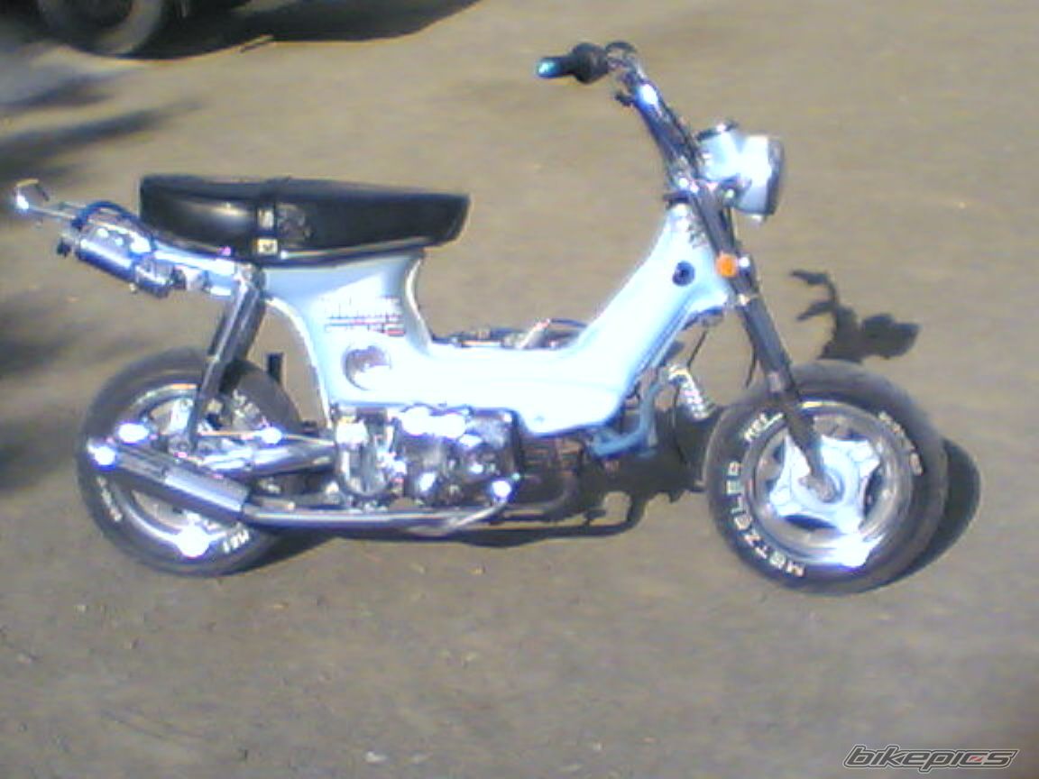 Photo 1568022