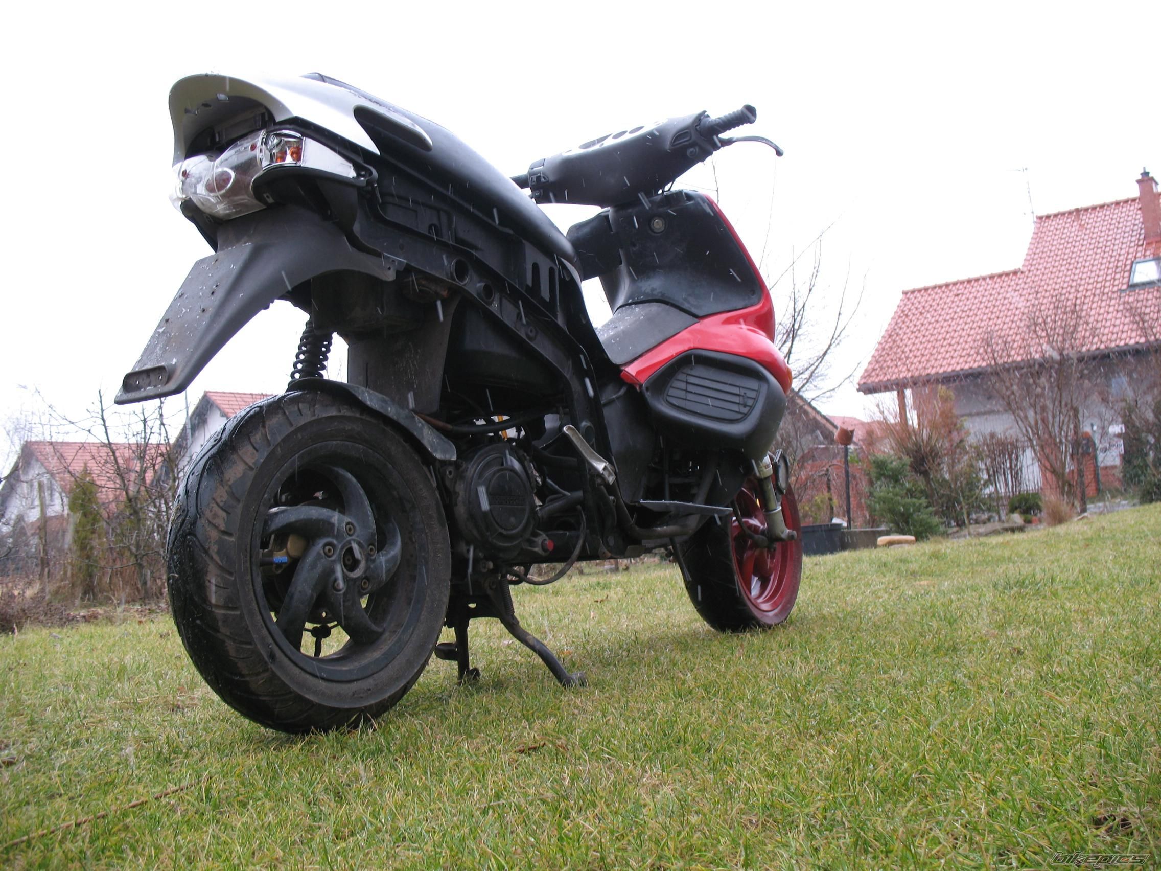 Photo 1568172