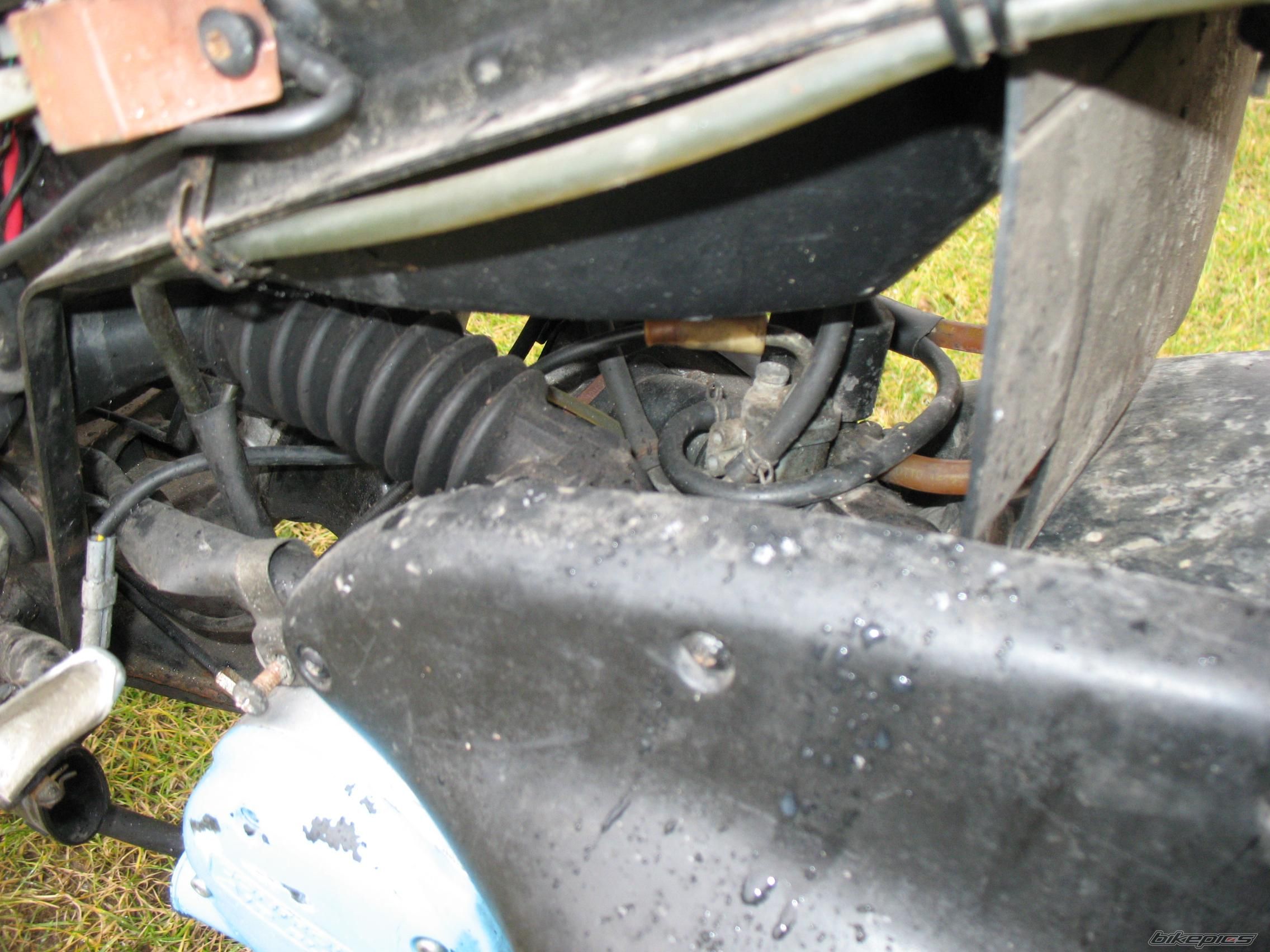 Photo 1568174