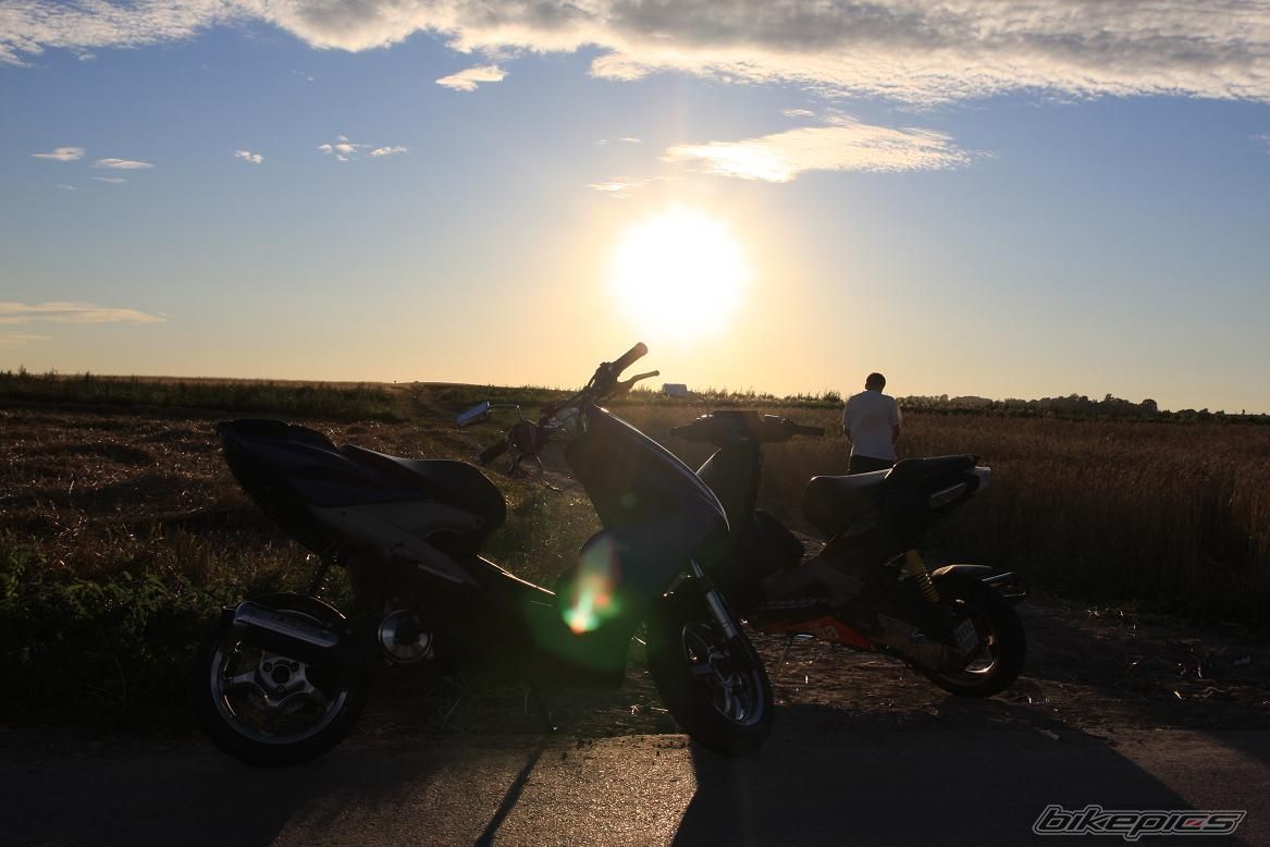 Photo 1568203