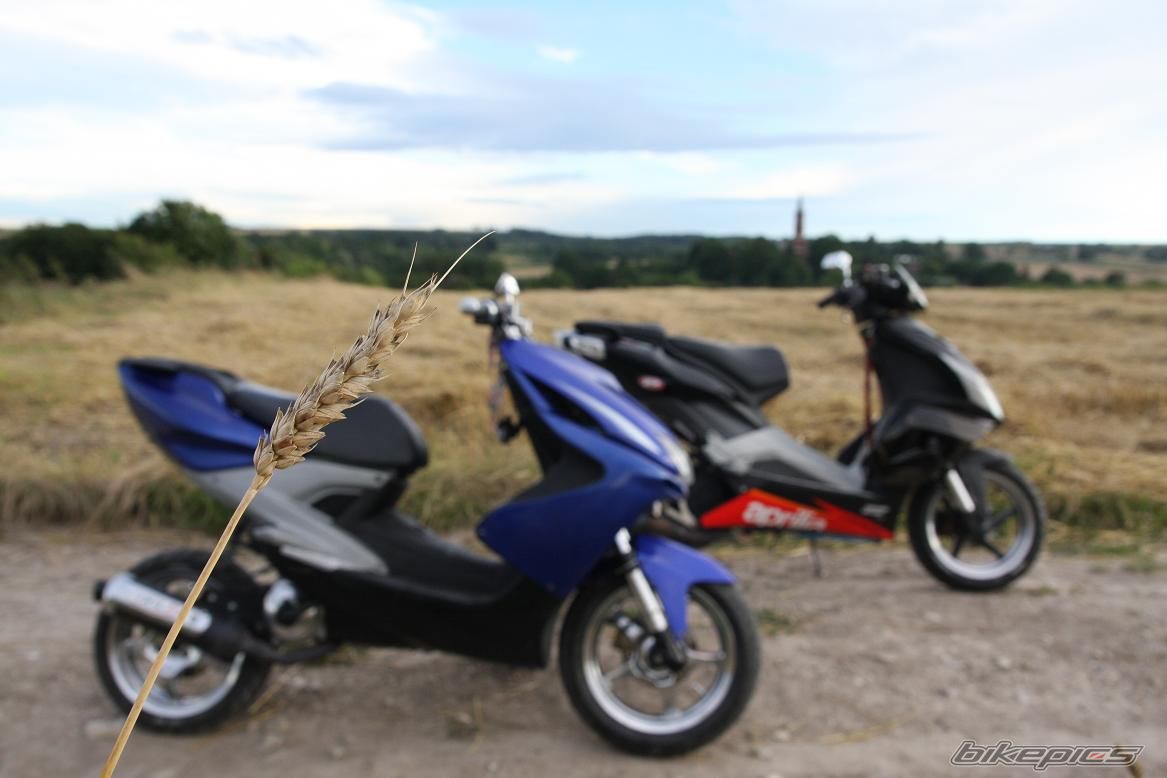 Photo 1568207