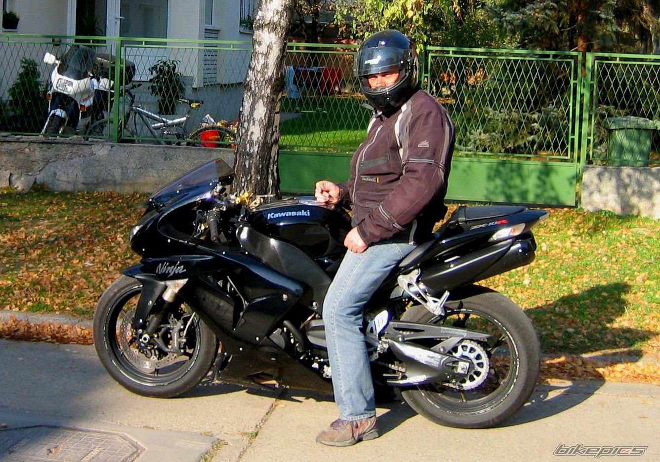 Photo 1568227