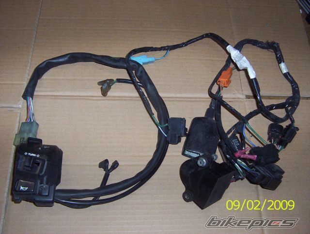 Photo 1568232