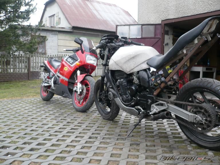Photo 1568265