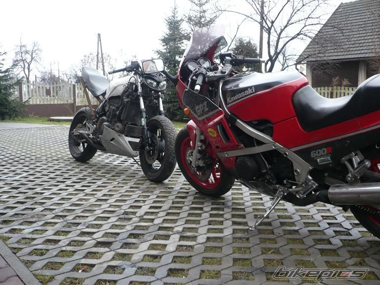 Photo 1568267