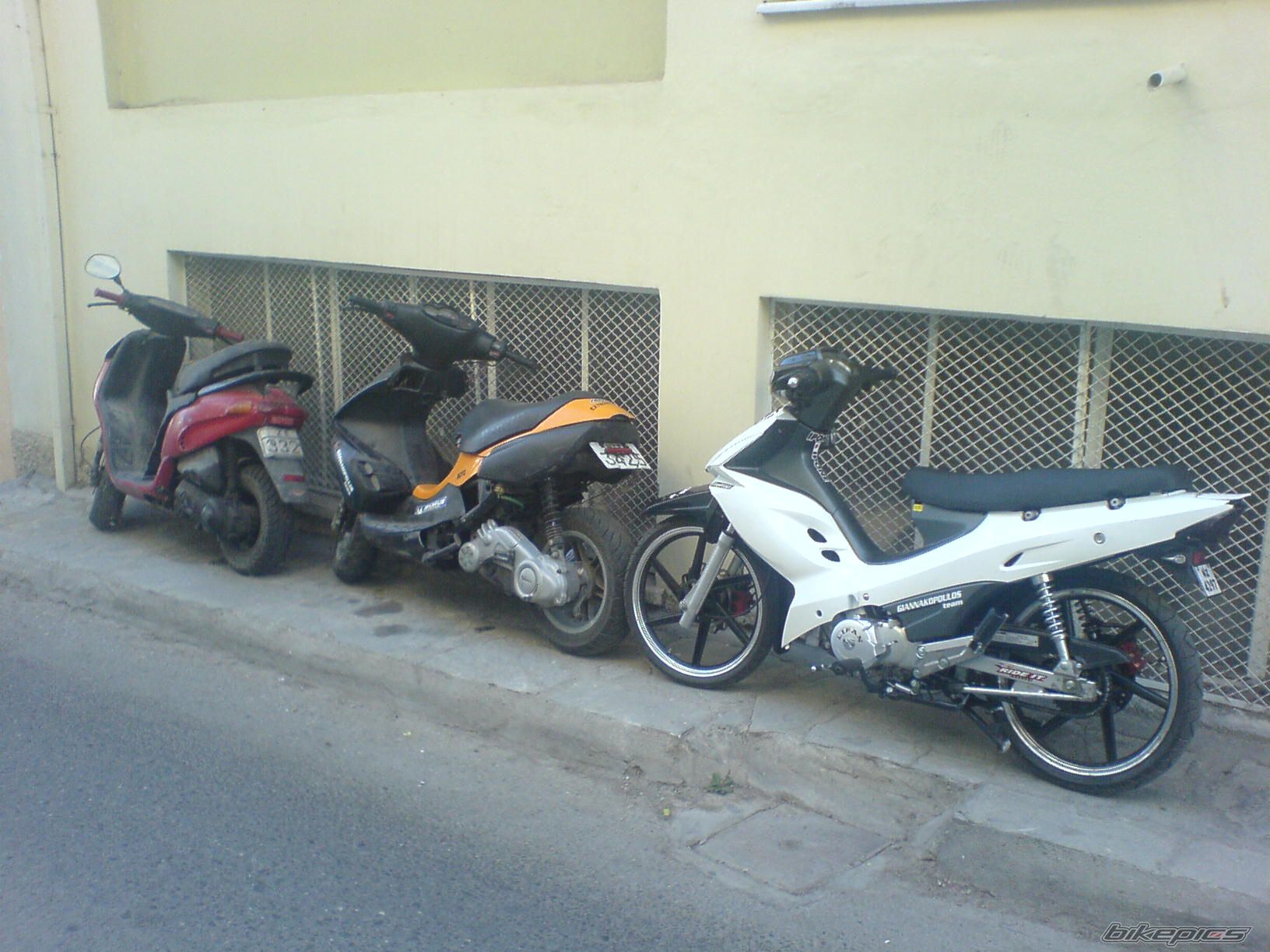 Photo 1568305