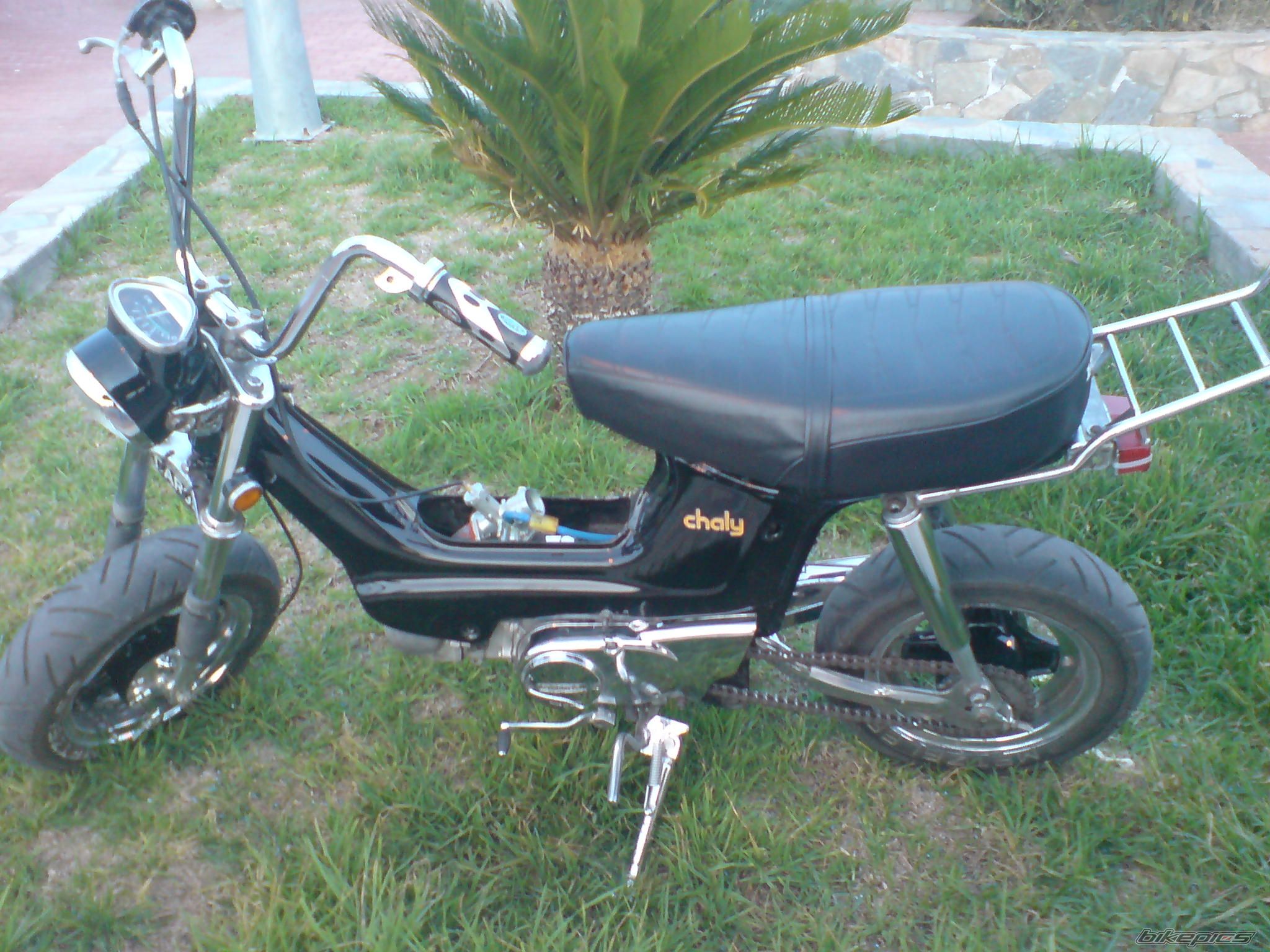Photo 1568327