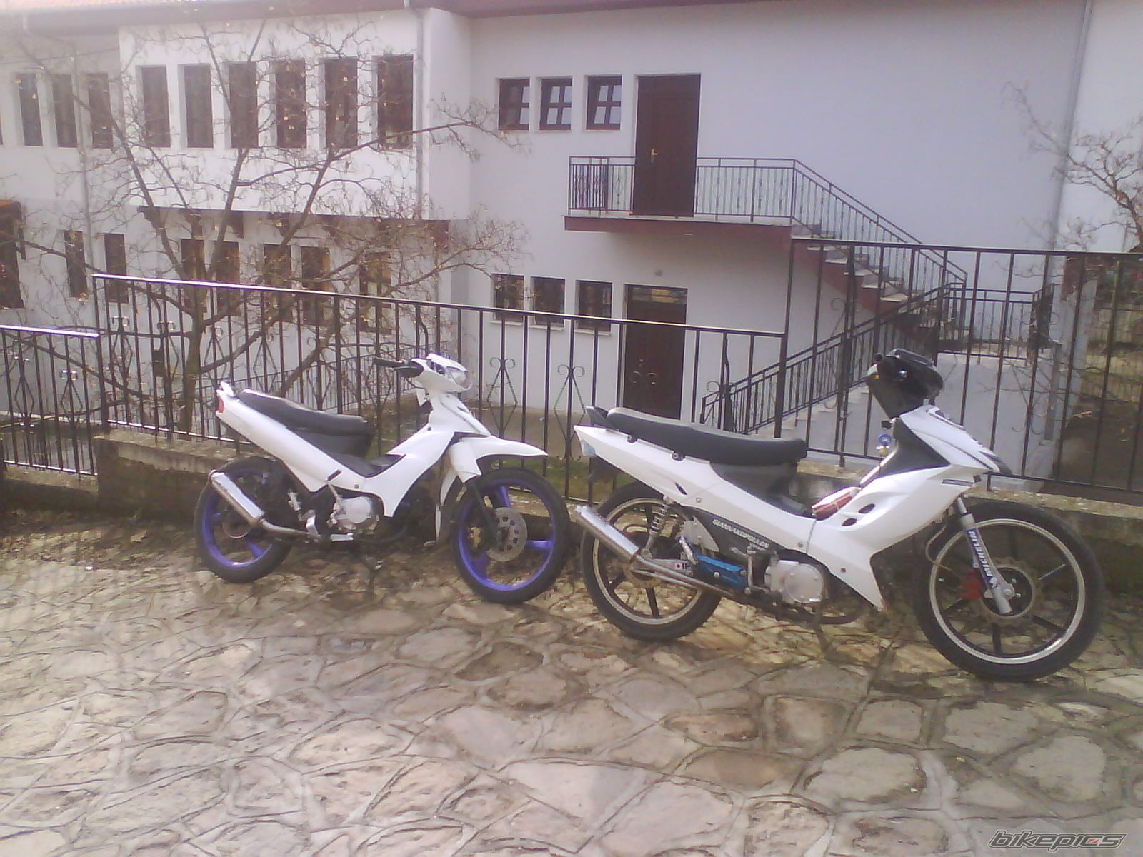 Photo 1568344