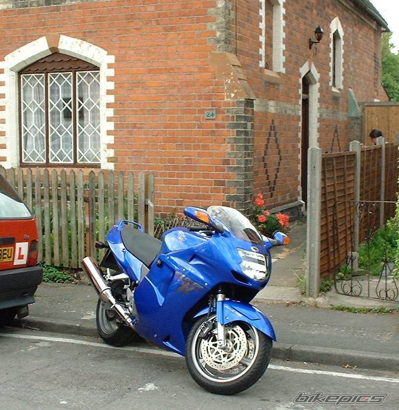 Photo 156835