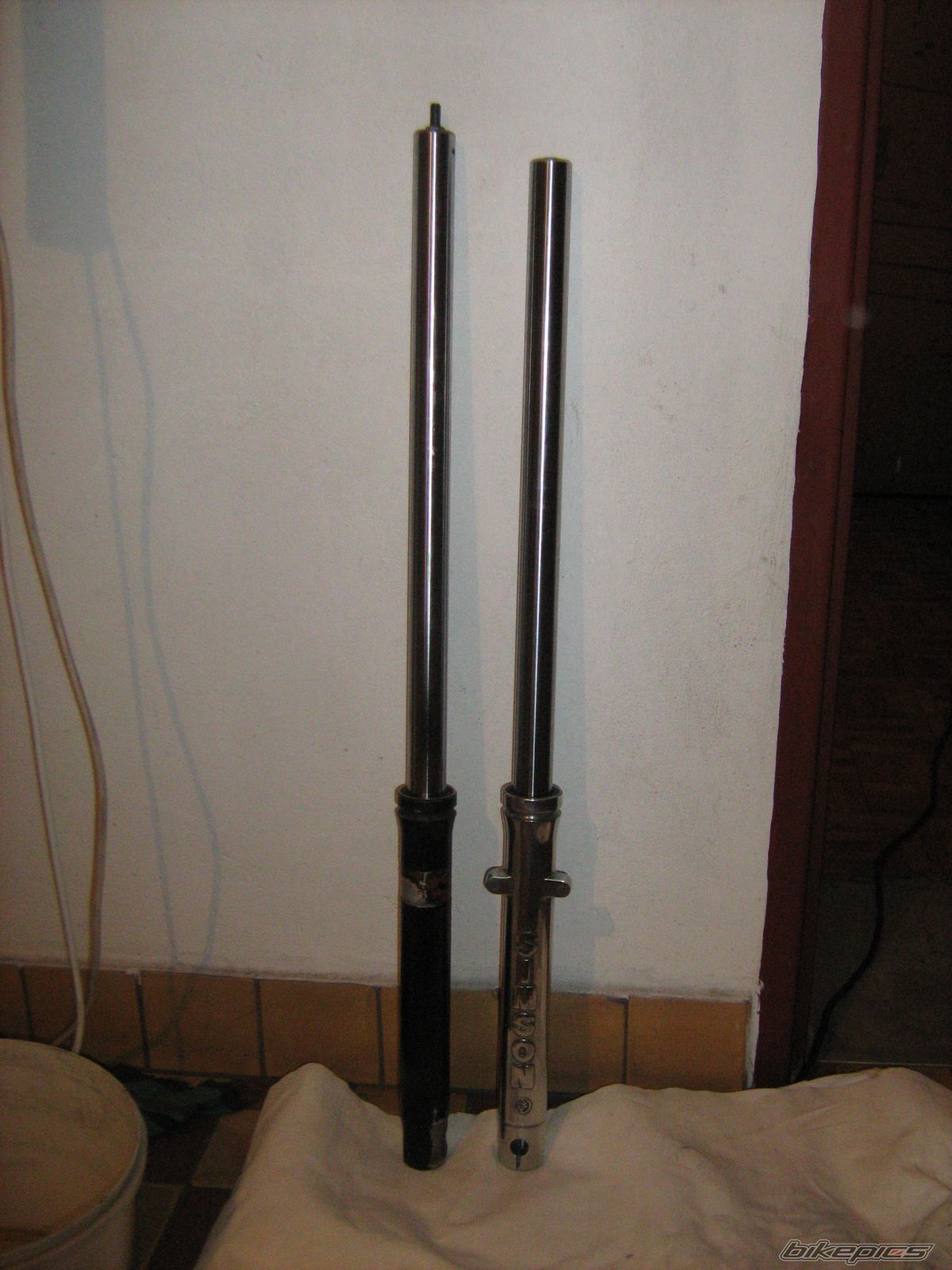Photo 1568369