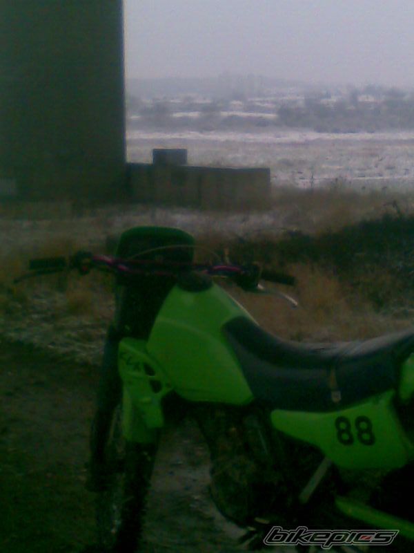 Photo 1568370