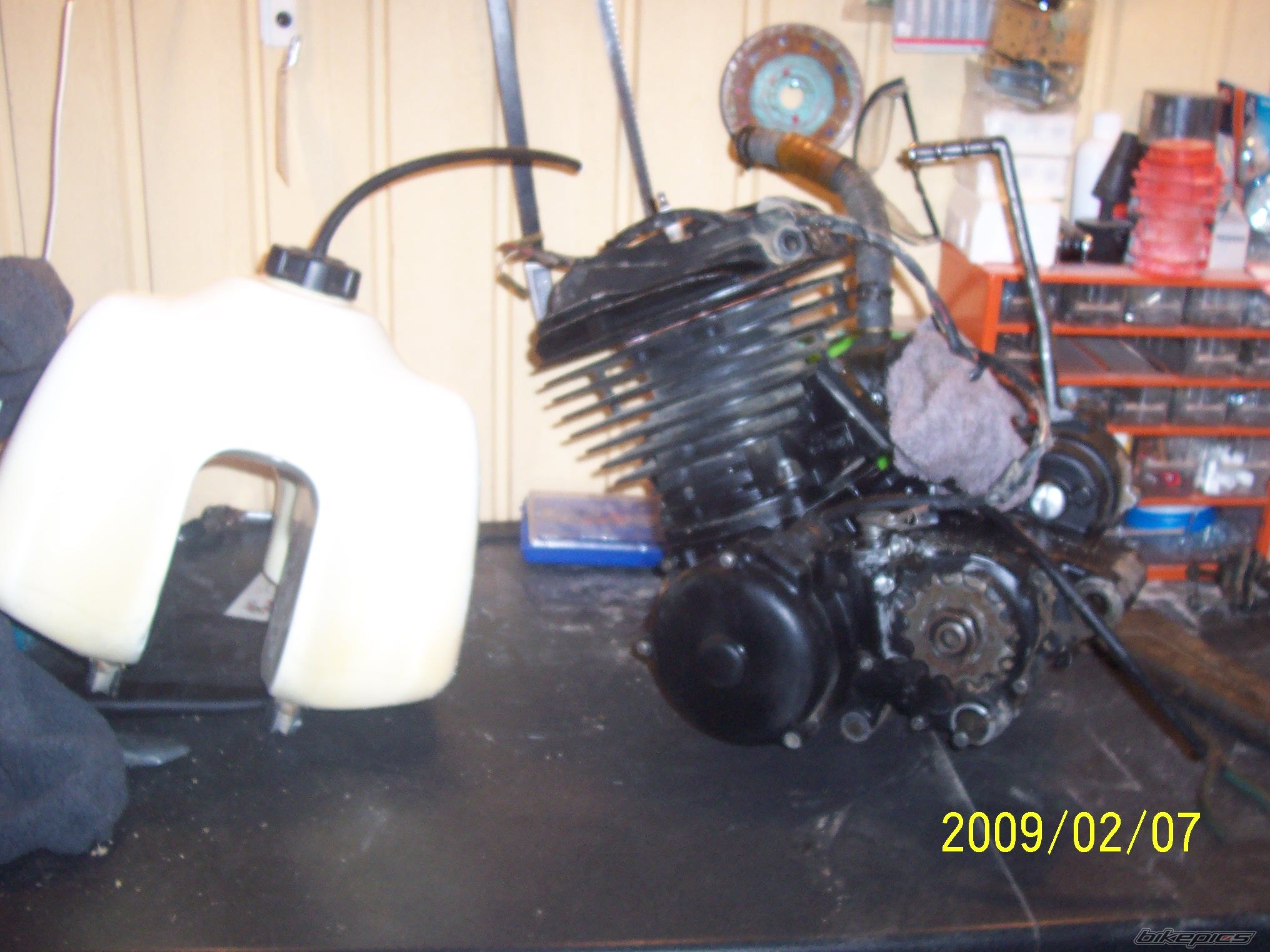 Photo 1568492