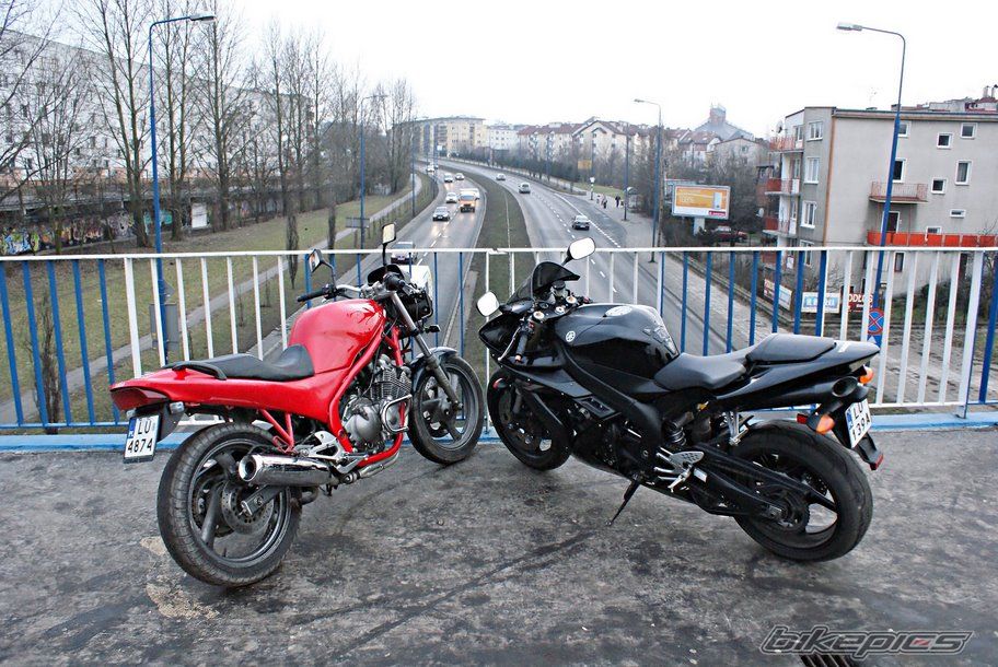 Photo 1568534